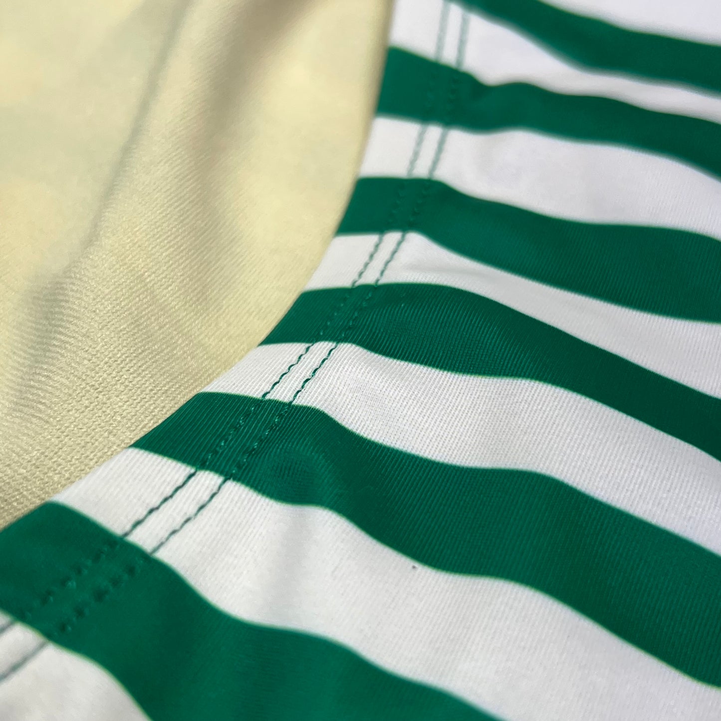 LIME RICKI Emerald Strip Bikini Bottom Sz L Green & White