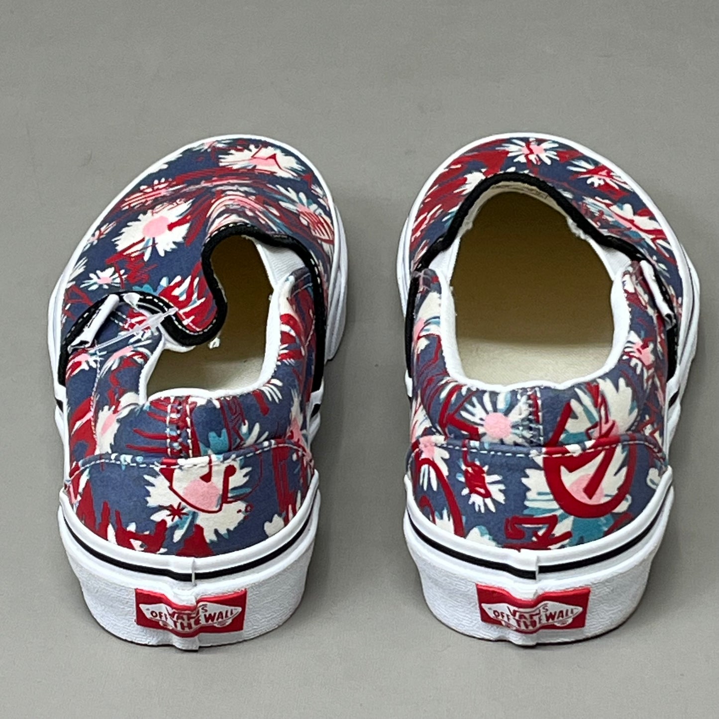 VANS Classic Slip-On Floral Graffiti Mens SZ 4.5 Womens SZ 6 Blue/Red/Pink As-is