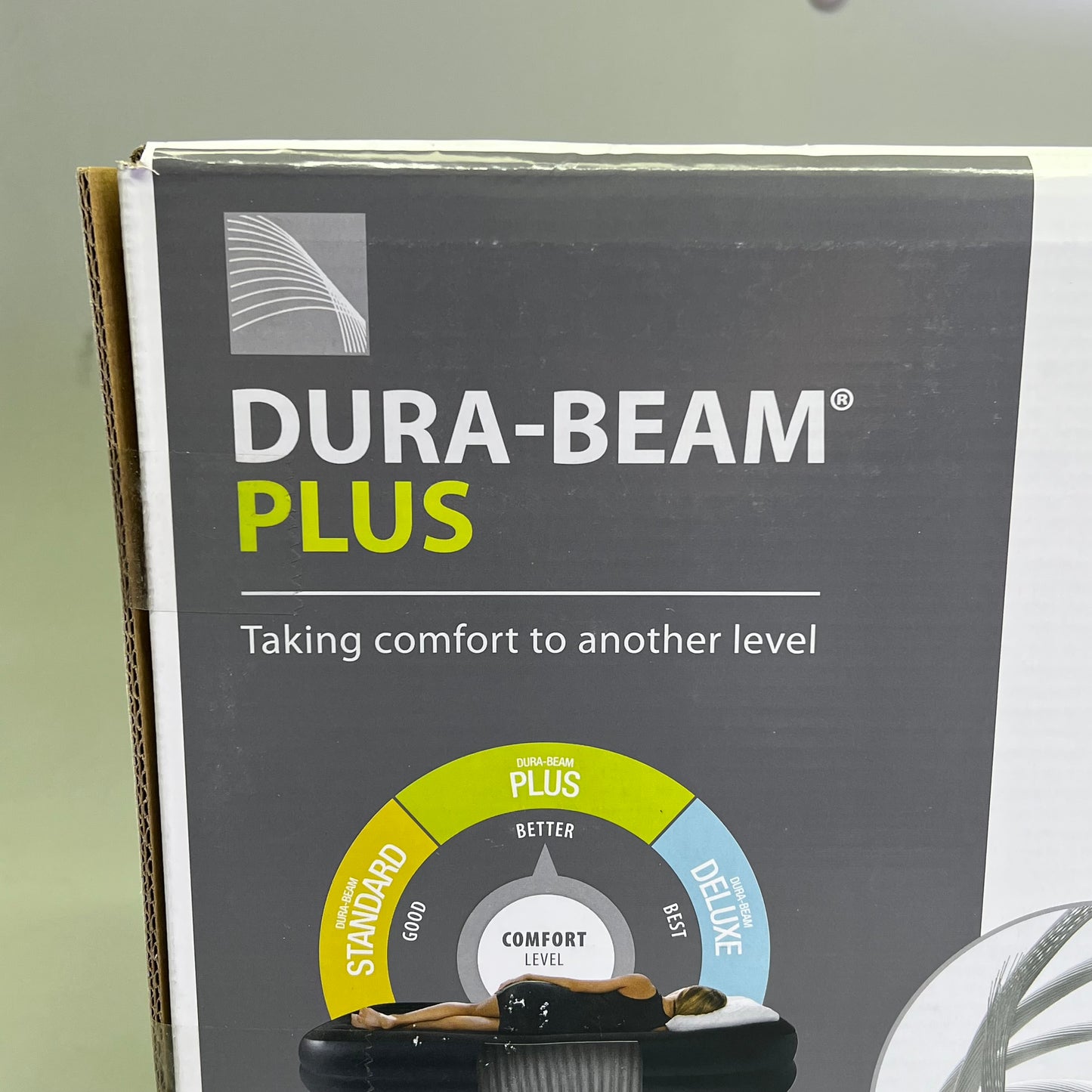 INTEX Dura-Beam Plus Pillow Rest Air Mattress Built-In Pump Queen 16.5" 64123ED