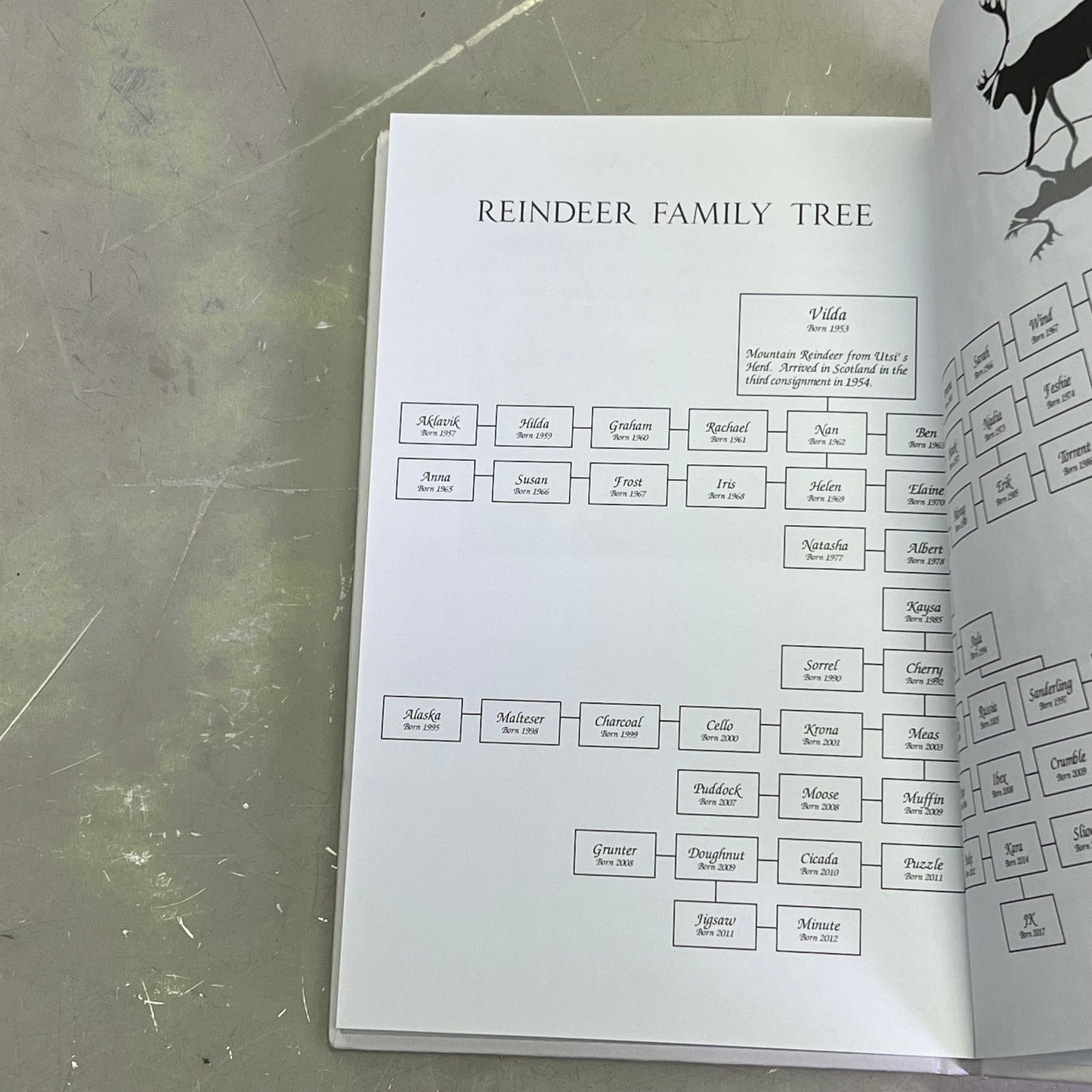 REINDEER AN ARCTIC LIFE  Natural History & Biology Hardback Book By Tilly Smith