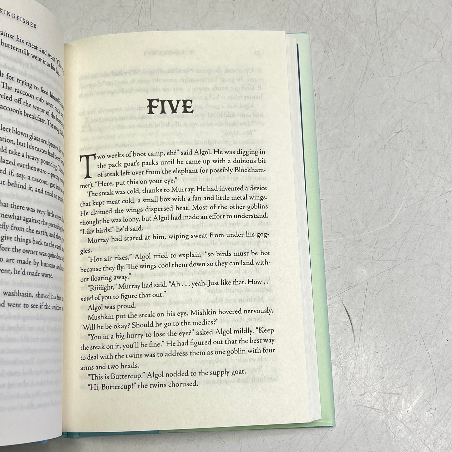 NINE GOBLINS  By T. Kingfisher Hardback Book a Low Fantasy & High Mischief Tale