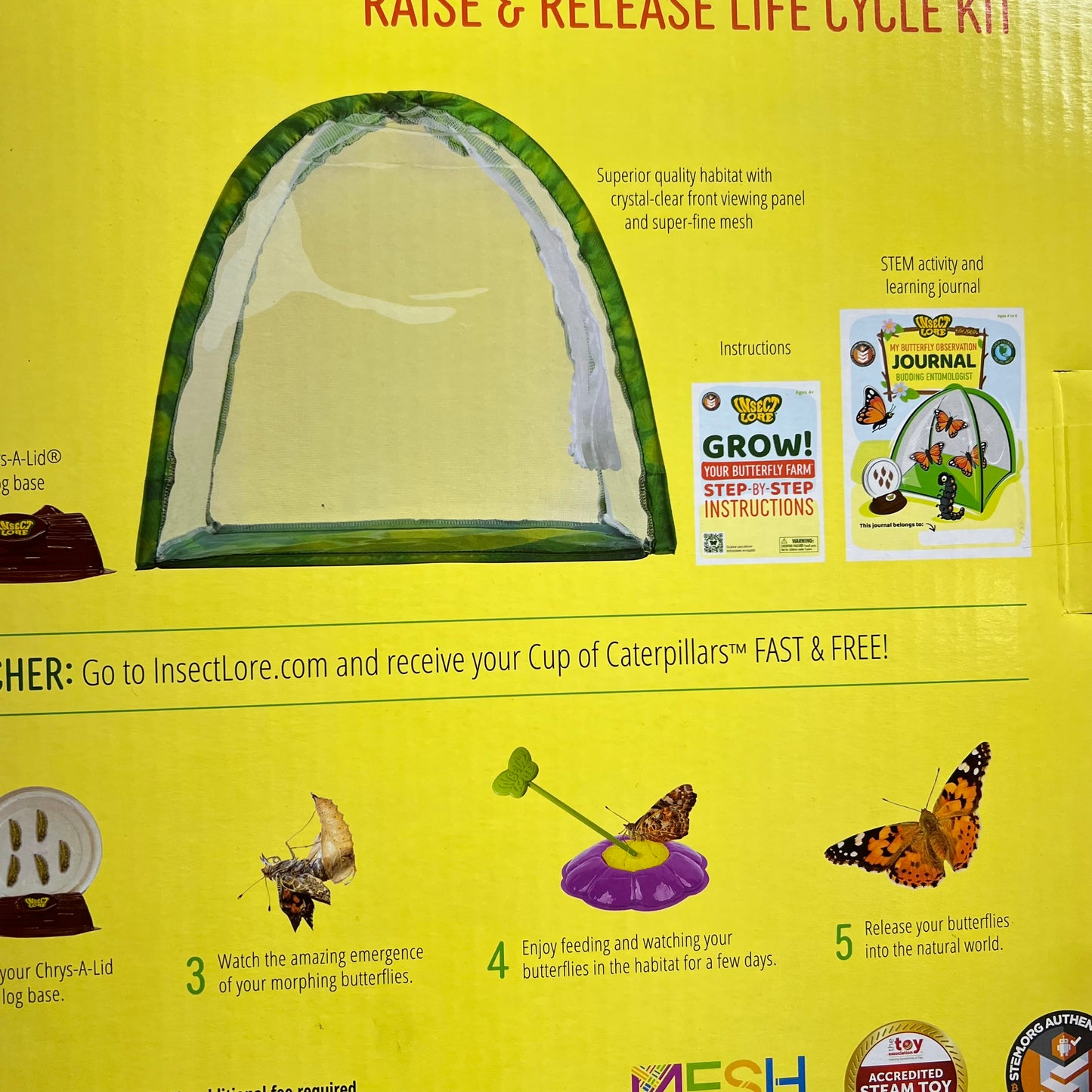 INSECT LORE The Original Raise & Release Butterfly Farm Life Cycle Kit  1015