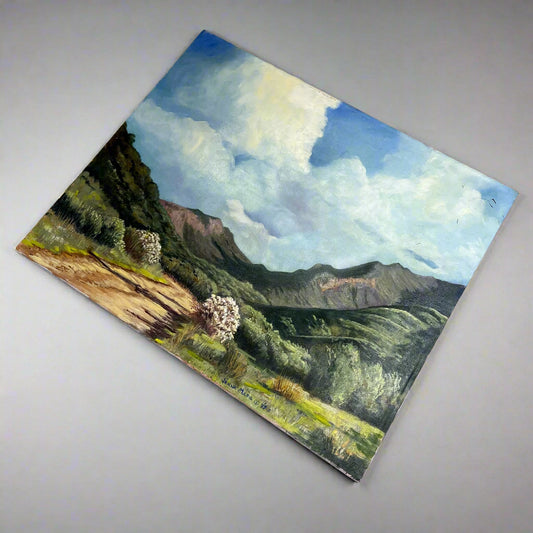 VERNA MARIE (CAMPBELL) Textured Oil Panting On Canvas Desert Mountains 24"x20"