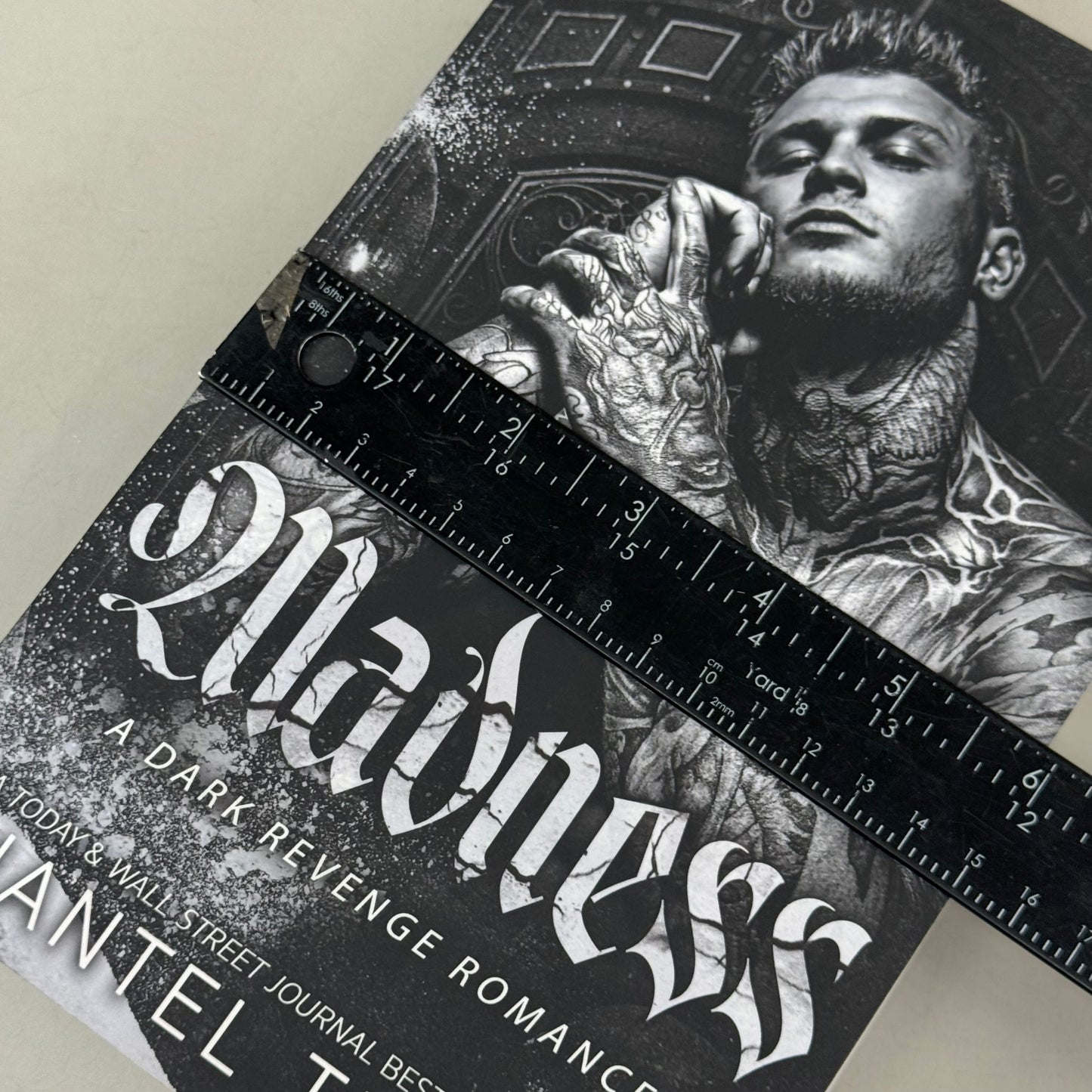 (PaperBack) Madness: a Dark Revenge Romance Shantel Tessier