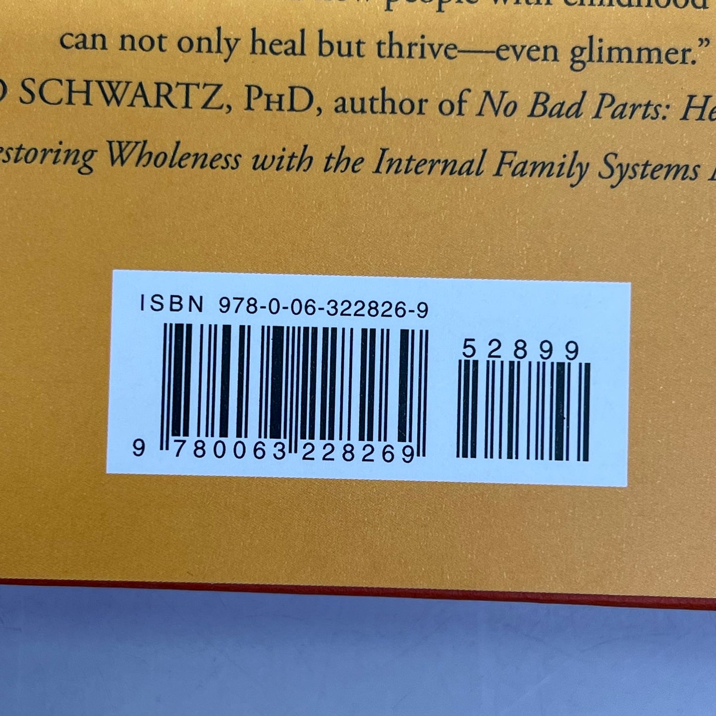 GLIMMER A Child Abuse, Memoir & Women's Biography By Kimberly Shannon Murphy