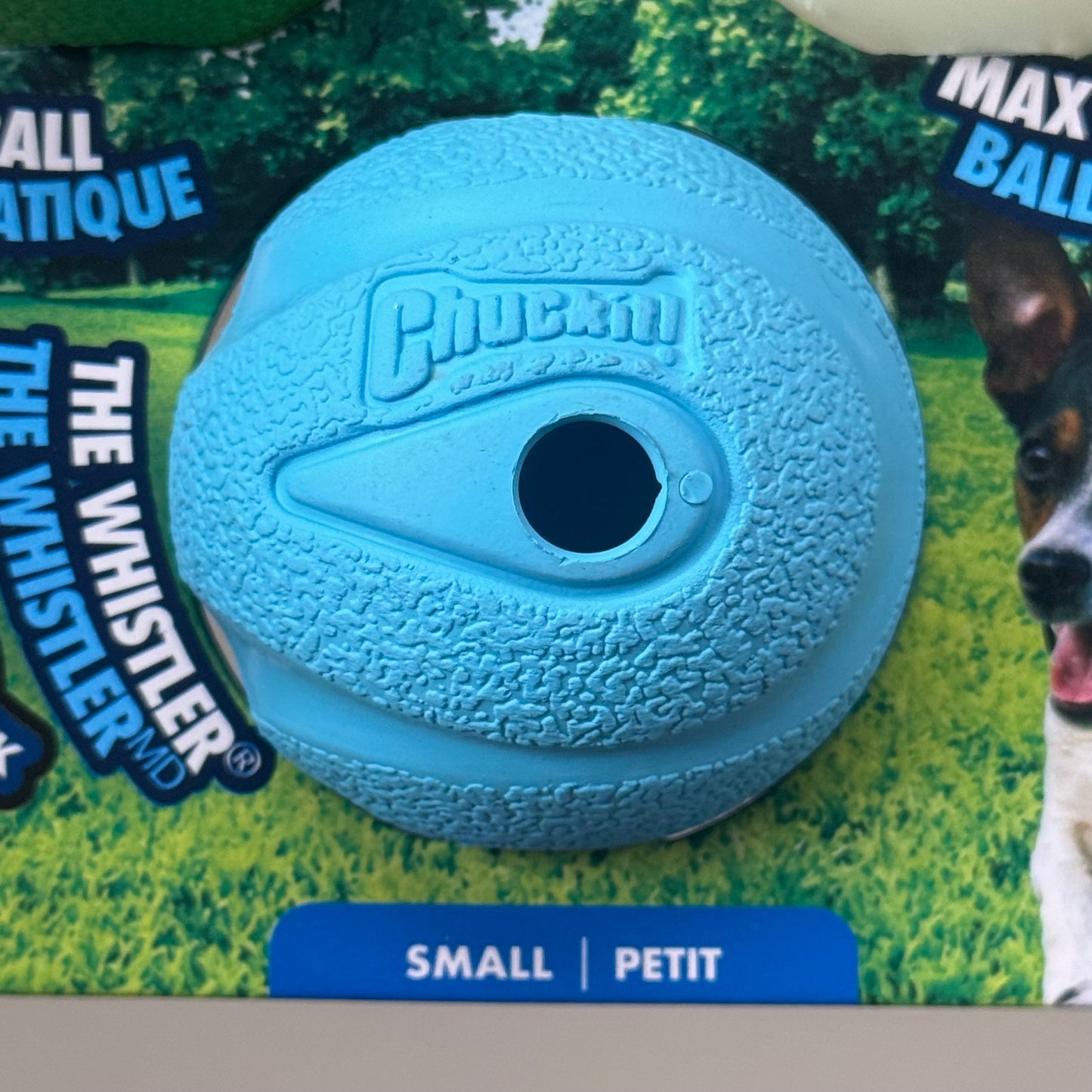 ZA@ CHUCKIT! Fetch Medley For Small Dogs Pack of 3 Balls Blue, Green, Glow HKDH23205B A