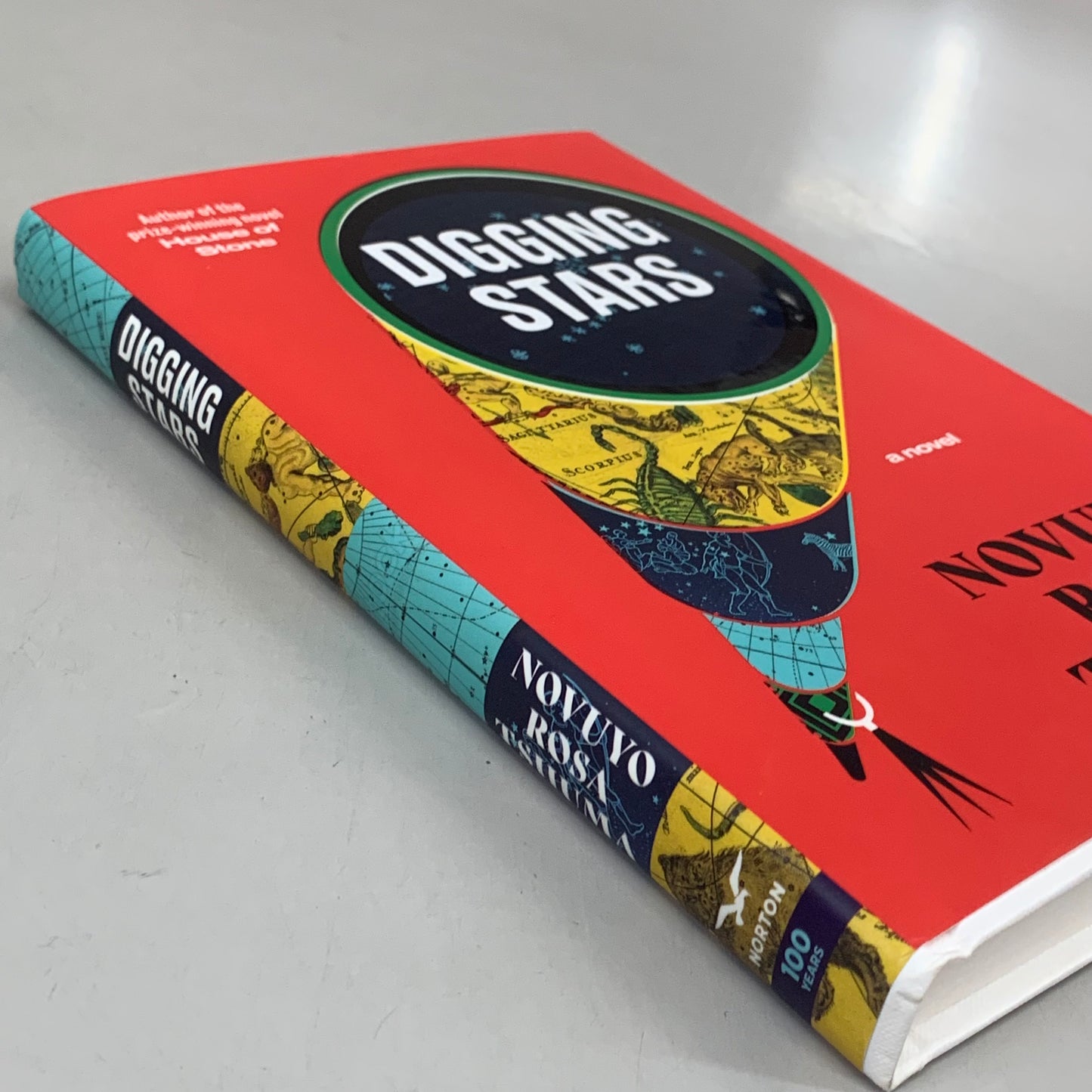 NORTON Novuyo Rosa Tshuma Digging Starts 288 Pages