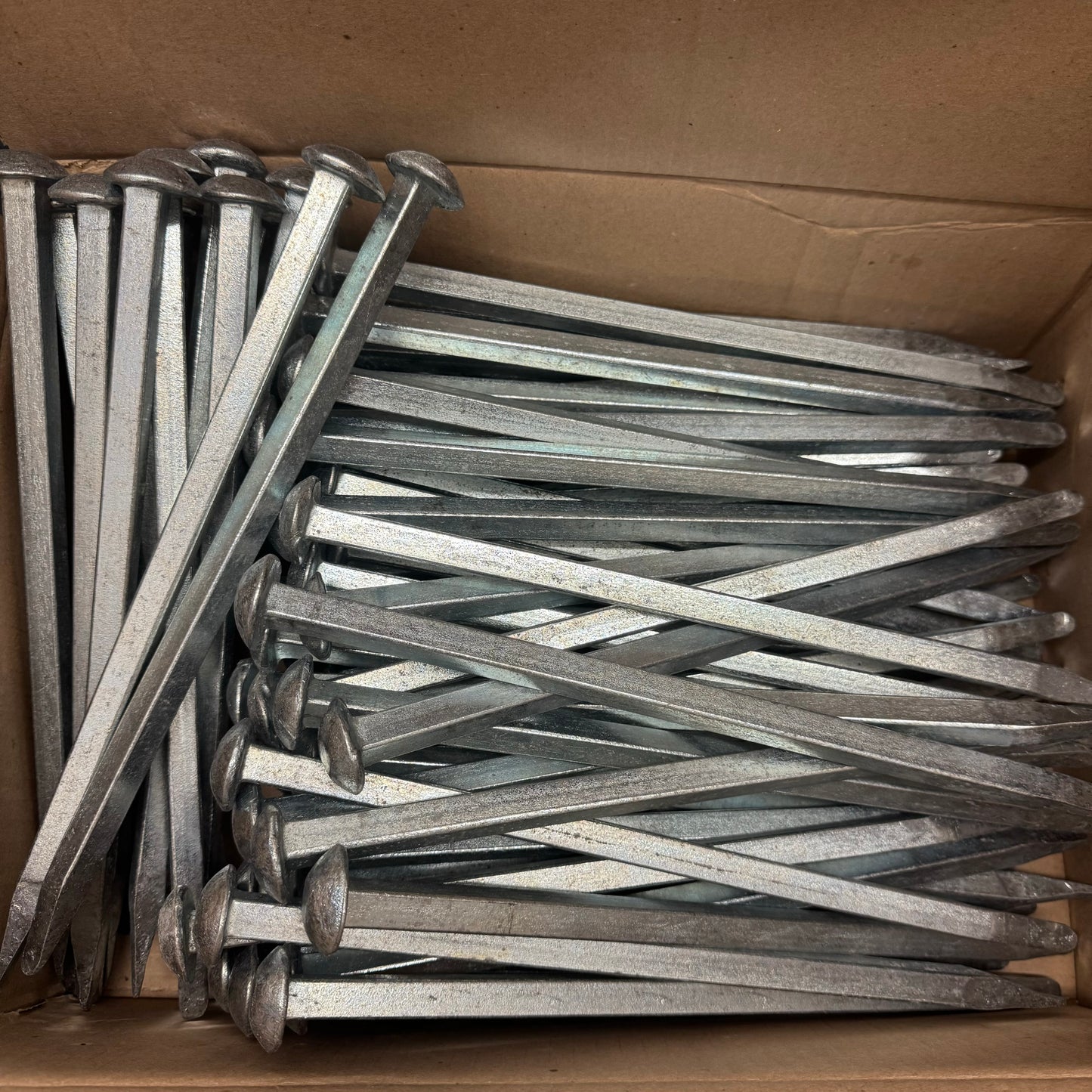 NEW SENTRY (80 PACK) Round Head Square Body Galvanized Steel Stakes 12.5"x1/2"