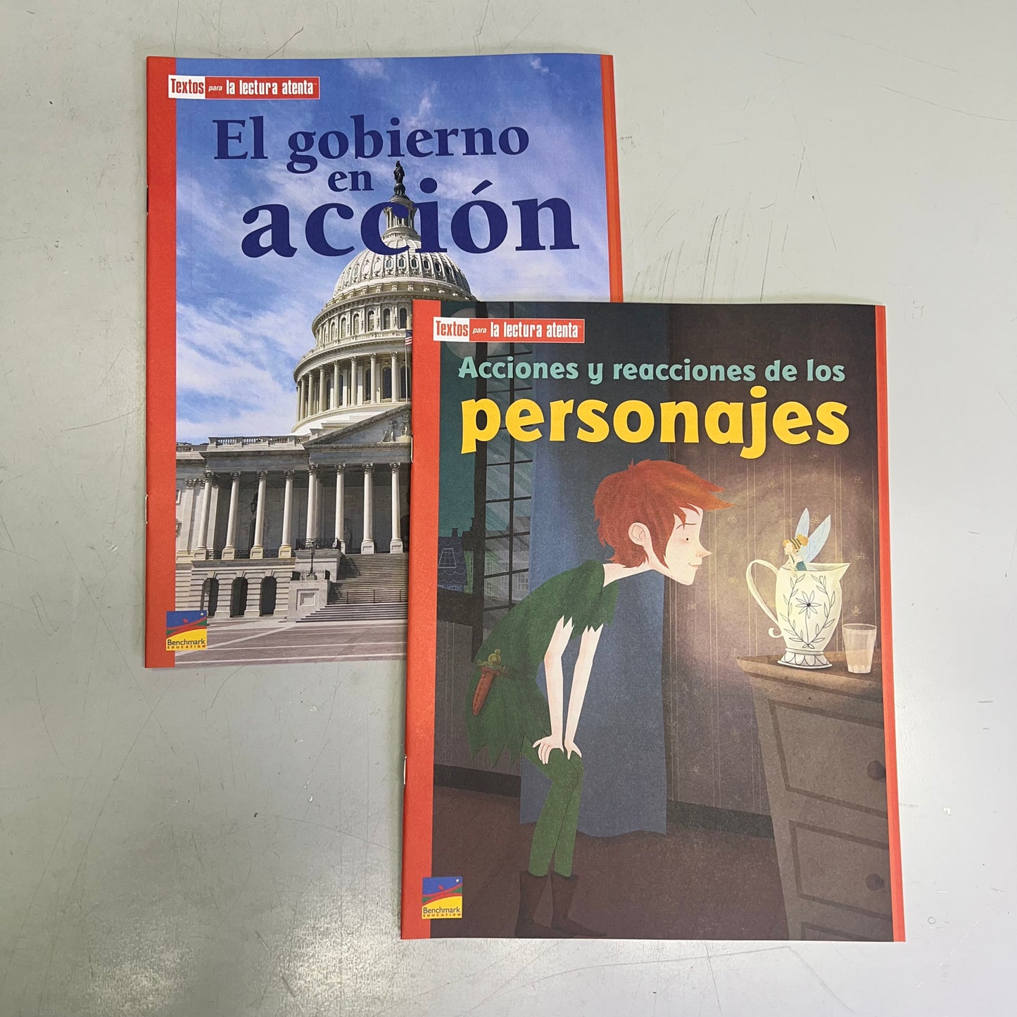 BENCHMARK EDUCATION (10 SET) Multiple Learning Point Books Grade 4 Spanish Edition