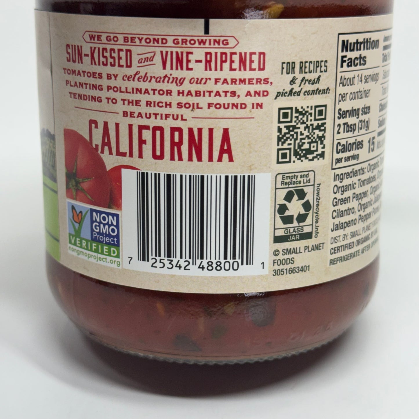 MUIR GLEN (12 PACK) Organic Garlic Cilantro Salsa 16 oz BB 03/28