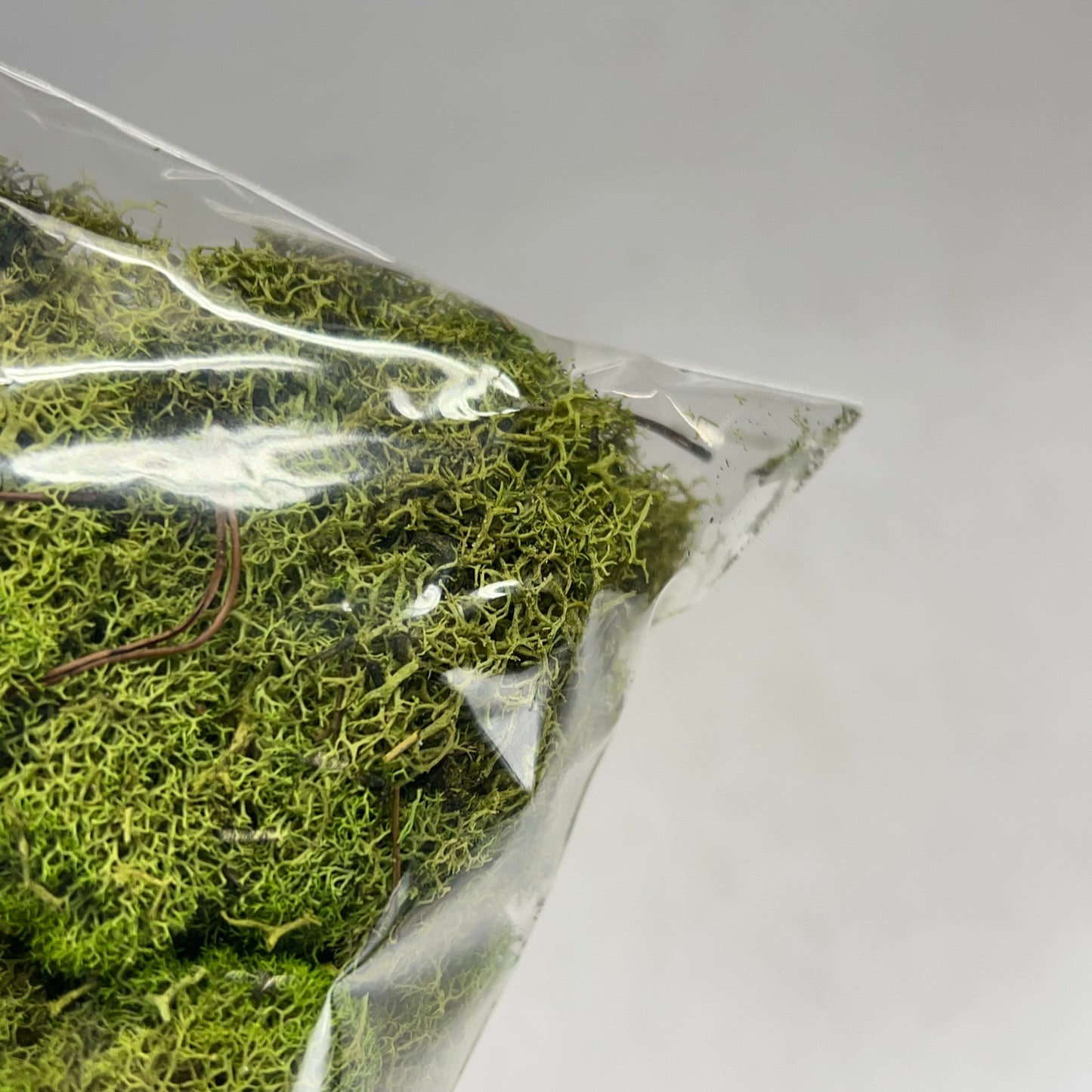 ASHLAND (6 PACK, 108.5 In³ Each) Naturals Reindeer Preserved Moss Green 284153