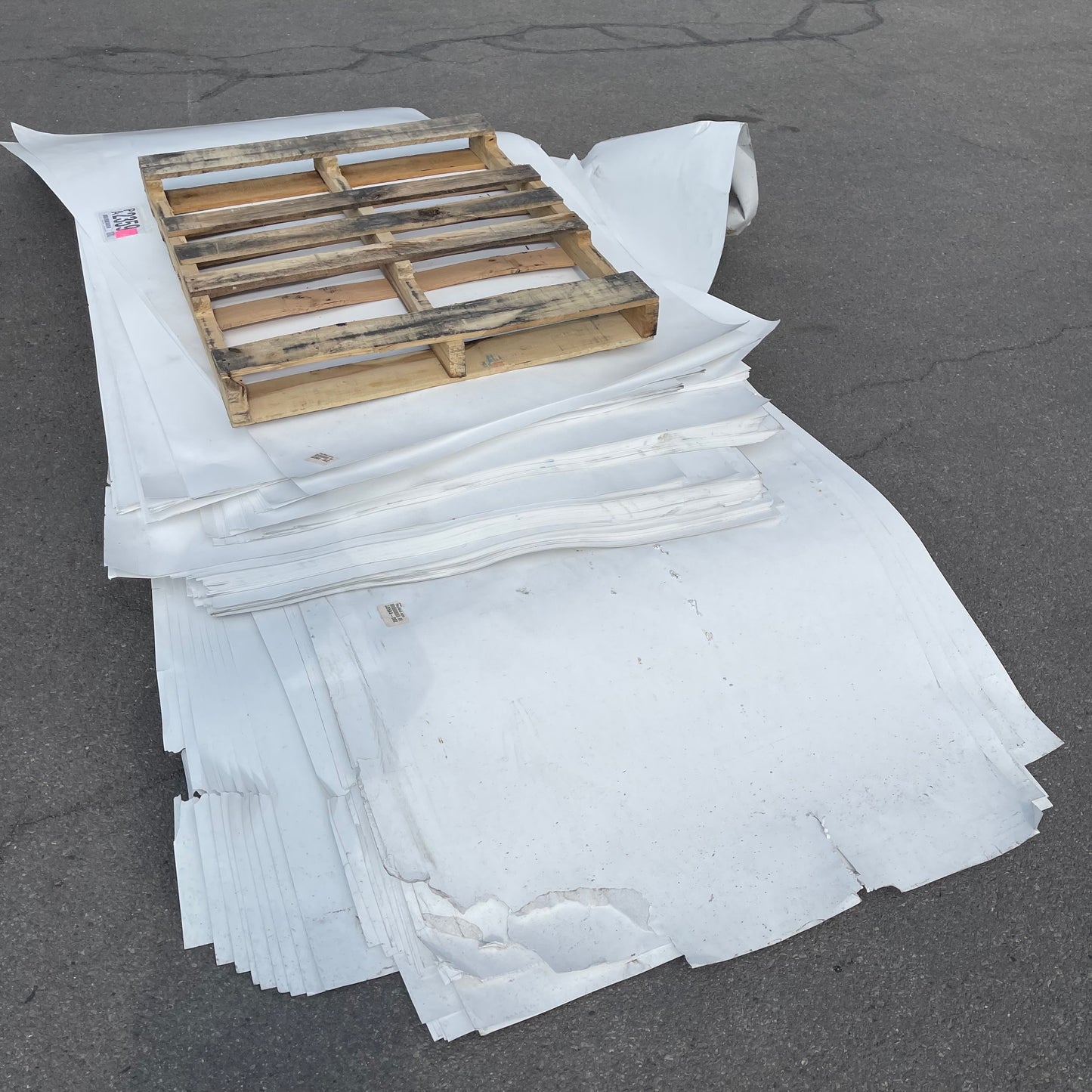 ZA@ Pallet of MIXED Large Paper Sheets 96”x48” (AS-IS)