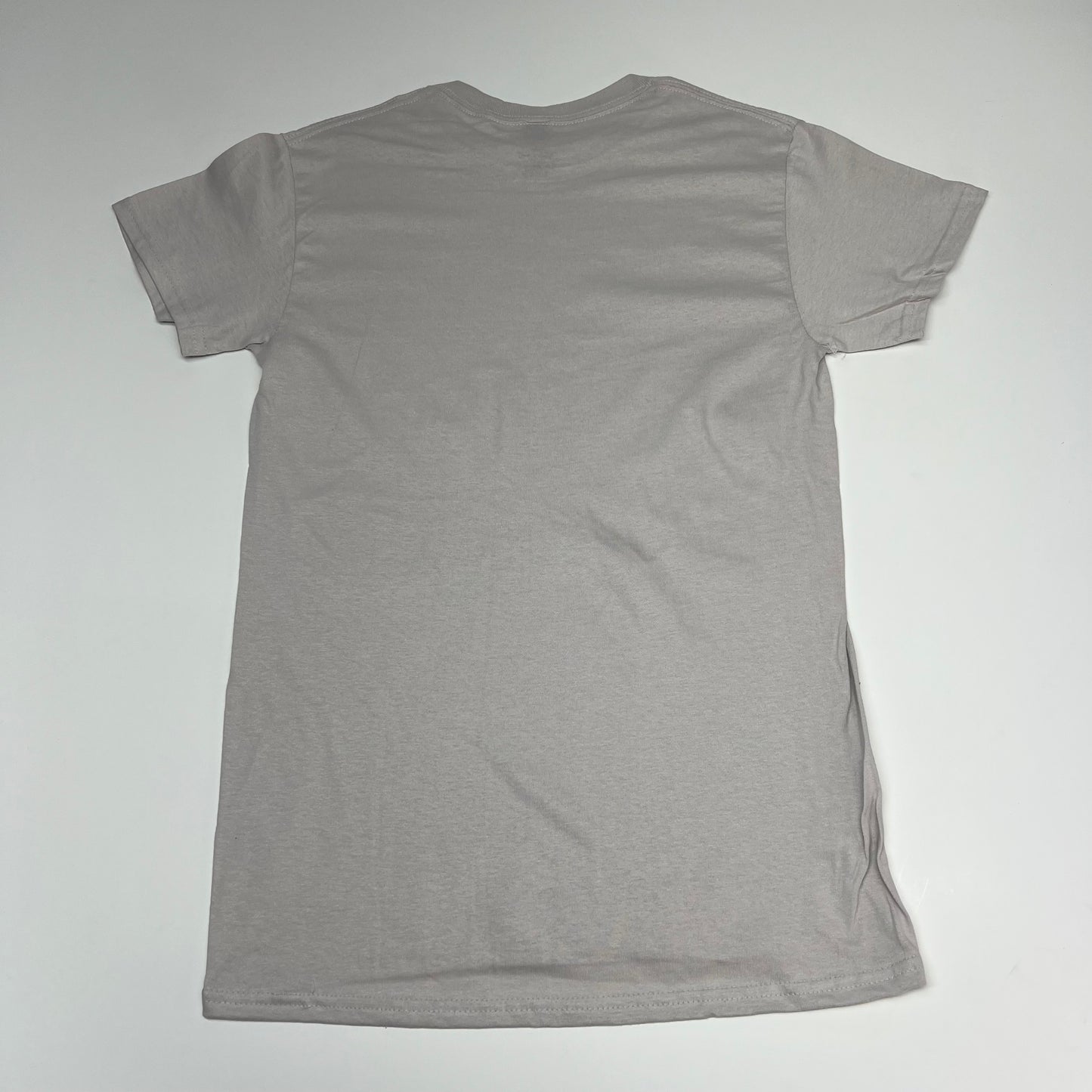 ZA@ GILDEN (24 PACK) Pre Shrunk Heavy Cotton T-shirt Unisex Sz S Icy Grey 5000