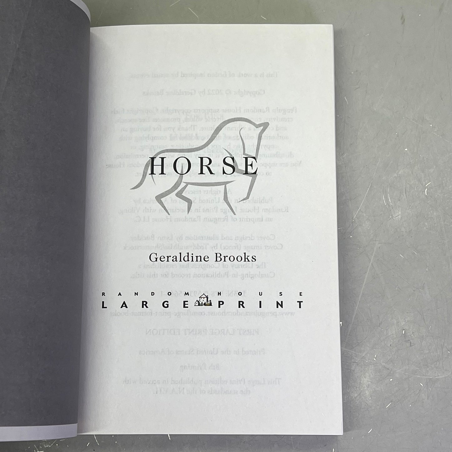 HORSE Animal Fiction Novel By Geraldine Brooks Paper Back Book Large Print