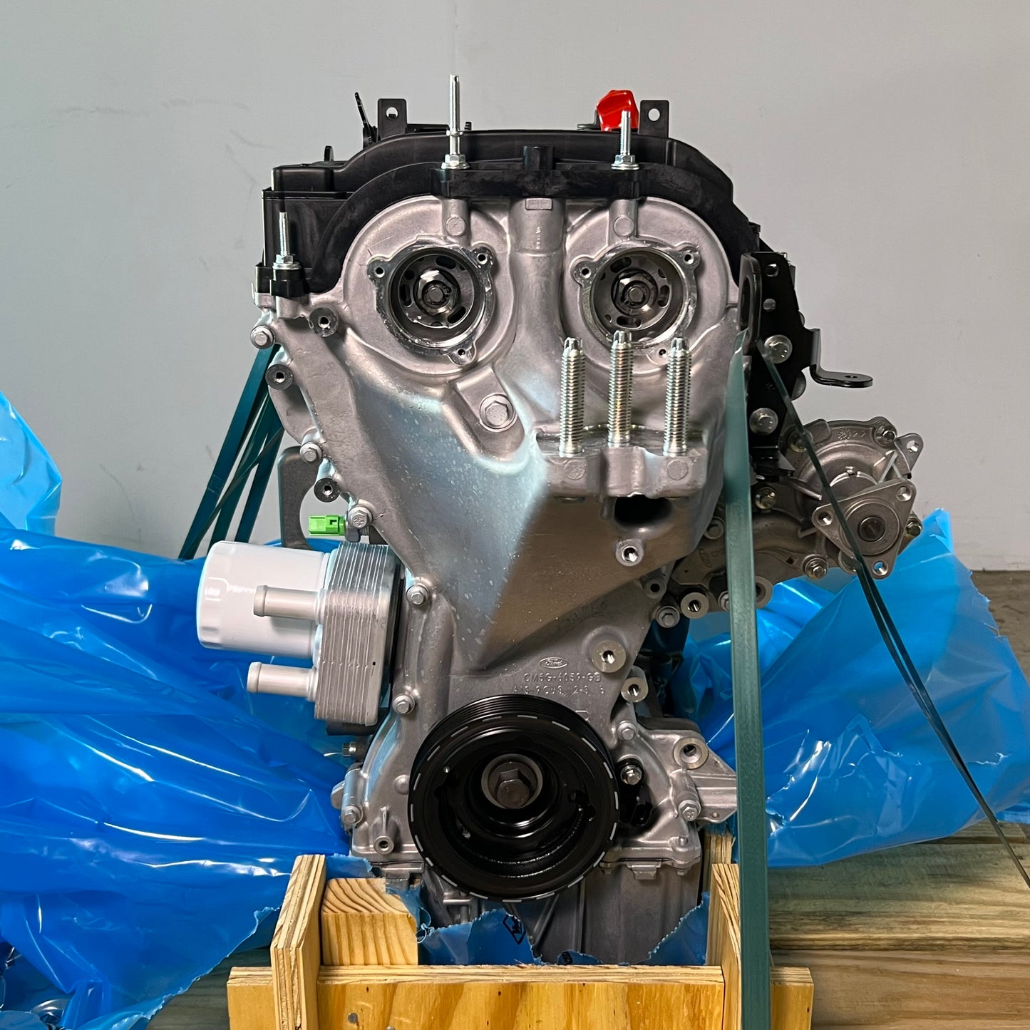 FORD Service Engine Assembly Grey G1FG6006DA