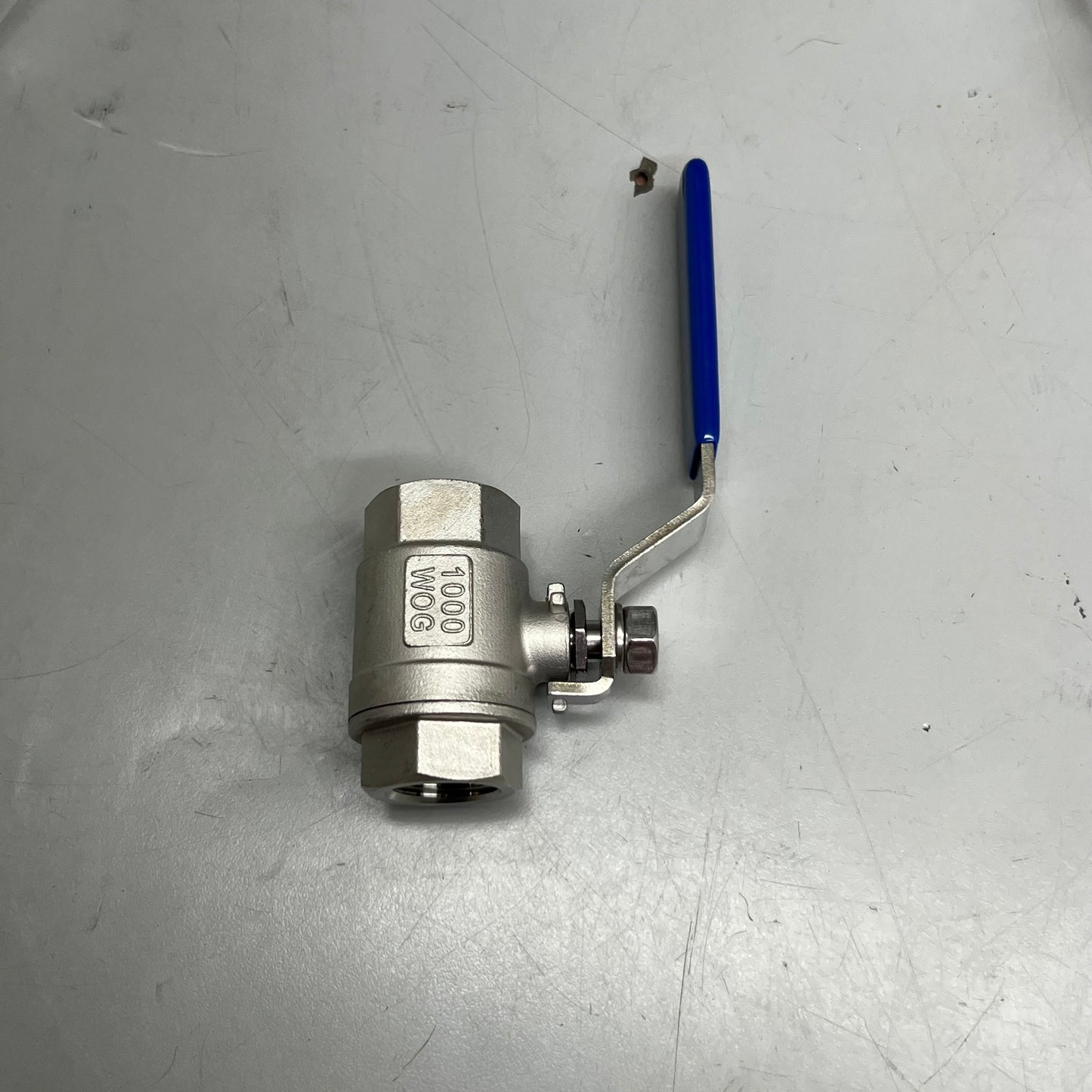 DERNORD (2 Pack) Full Port Ball Valve Stainless Steel 304 Heavy Duty (MATURE, DO NOTHING)