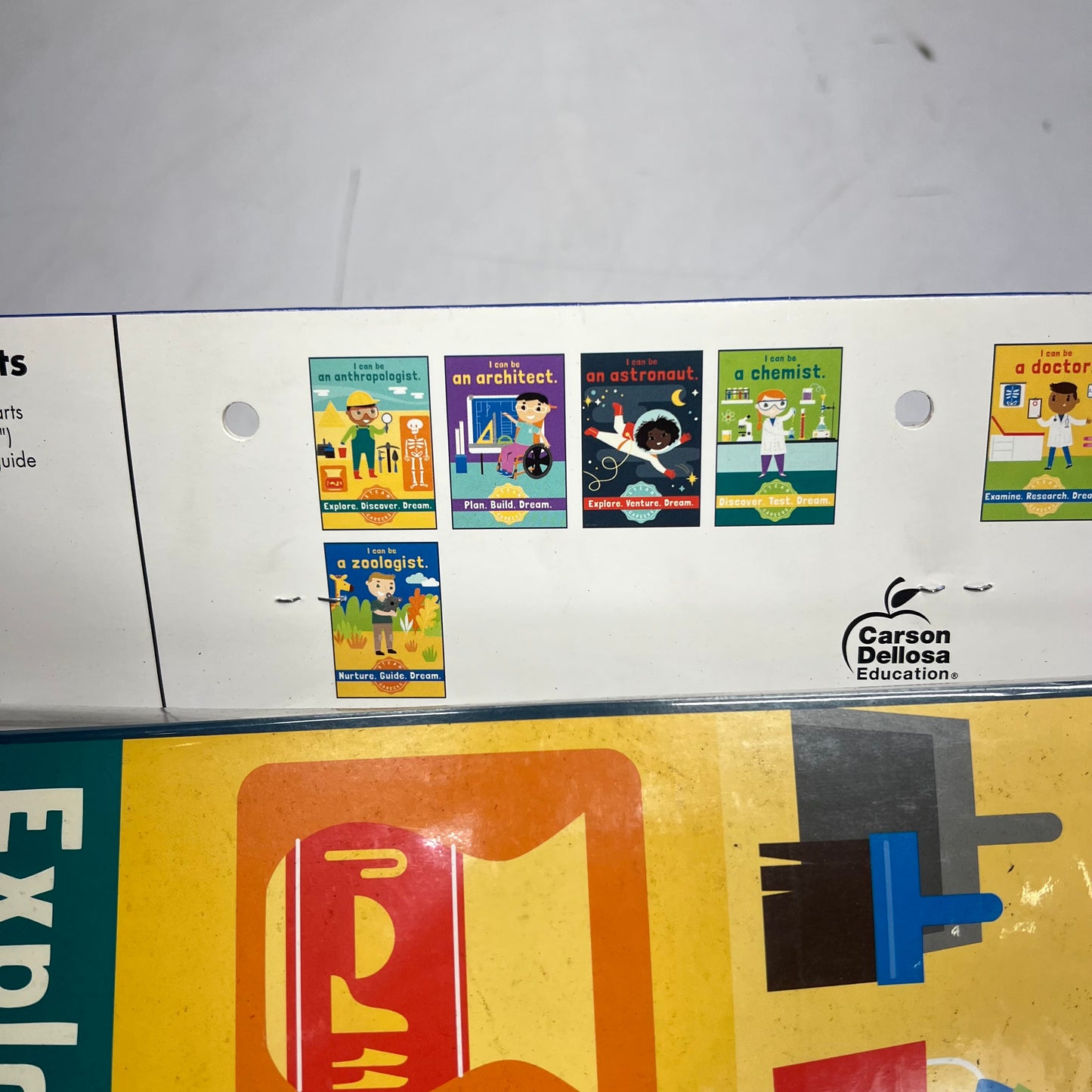 CARSON DELLOSA Education Steam Careers Bulletin Board Set 12 Pieces  CD-110383