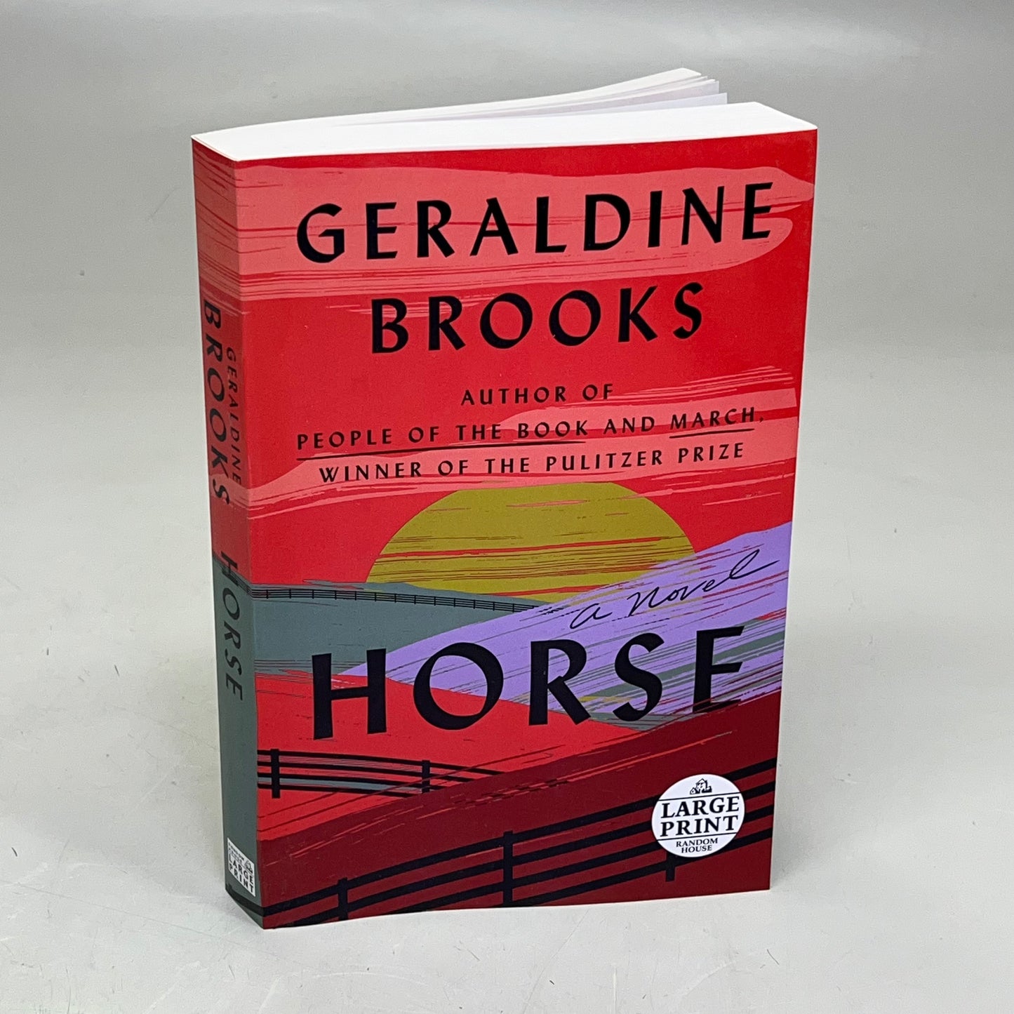 HORSE Animal Fiction Novel By Geraldine Brooks Paper Back Book Large Print