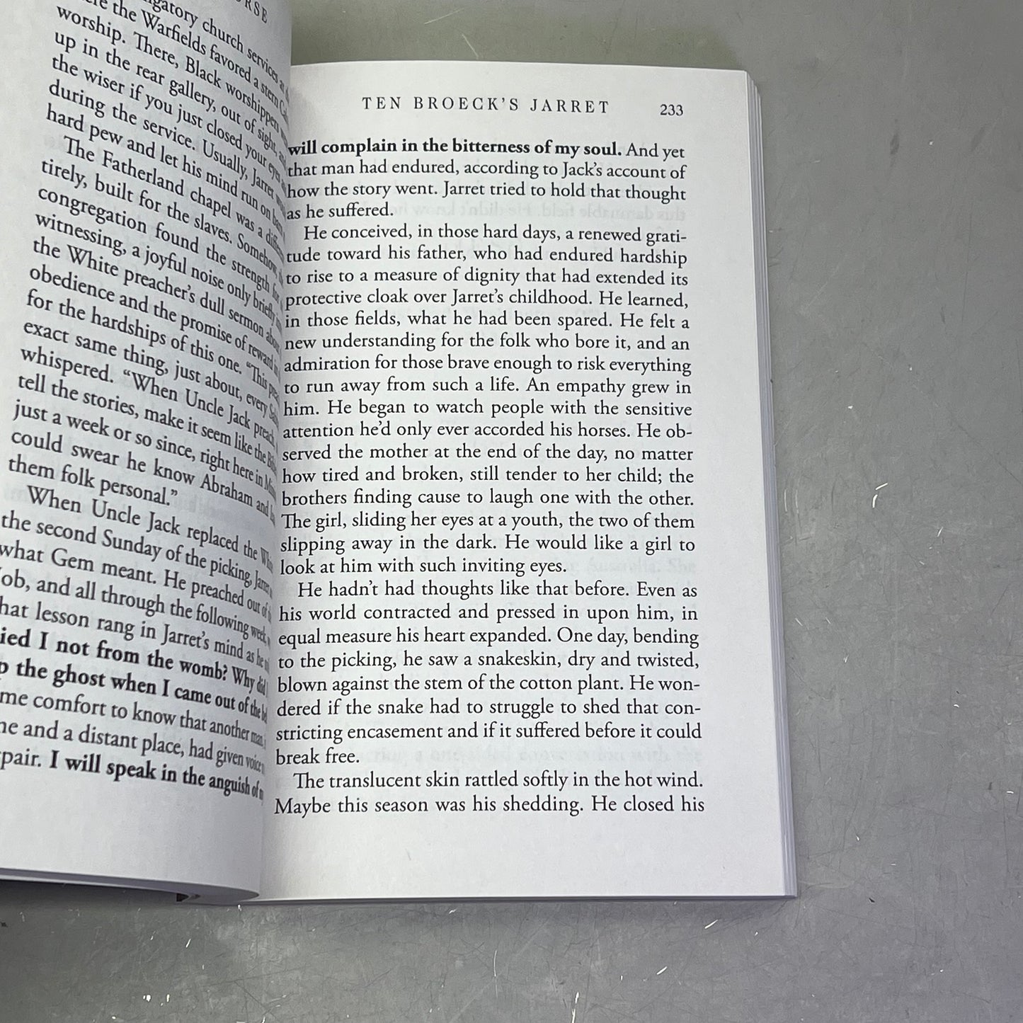 HORSE Animal Fiction Novel By Geraldine Brooks Paper Back Book Large Print