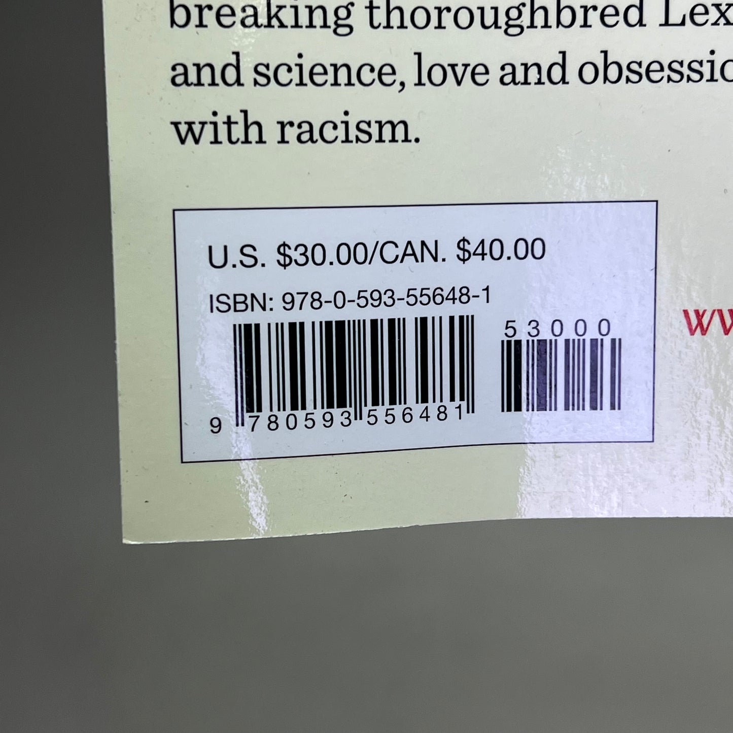 HORSE Animal Fiction Novel By Geraldine Brooks Paper Back Book Large Print