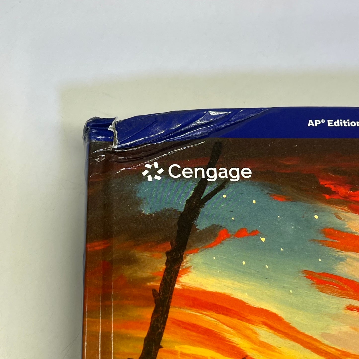 CENGAGE LEARNING The American Pageant 18th Ed Hardback Book AP Ed (Distressed)