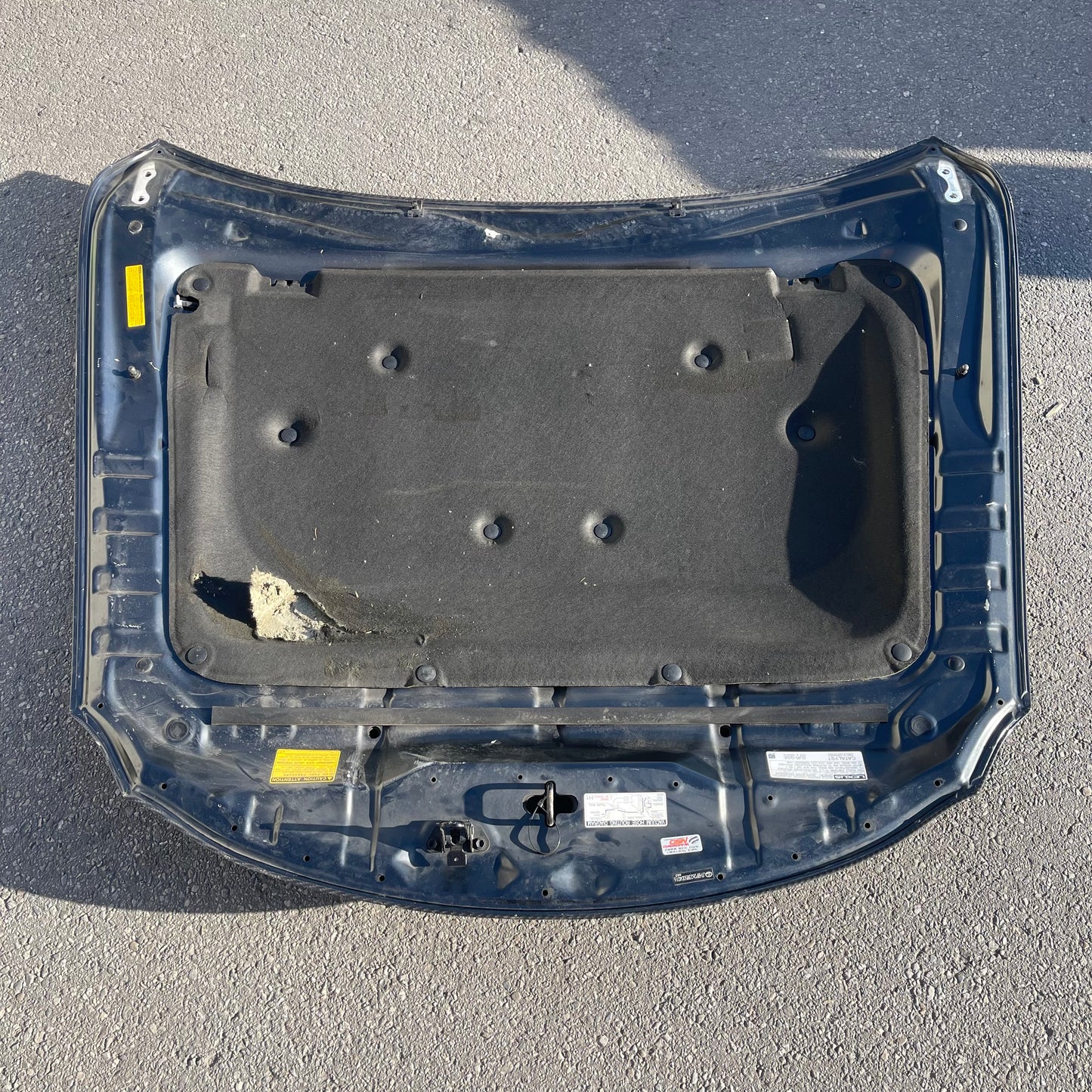 ZA@ 541 MOTORSPORTS Carbon Fiber Hood for Lexus IS250/350(?) (AS-IS)