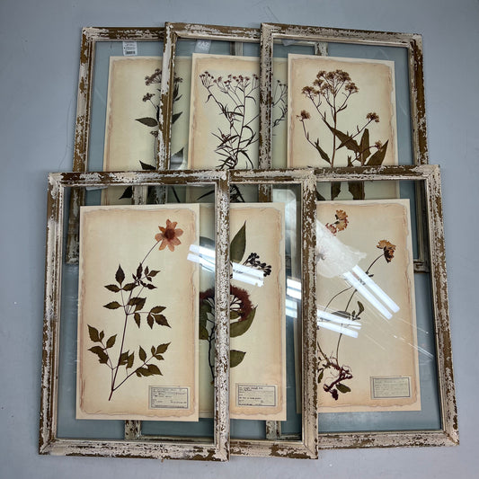 RAZ IMPORTS (SET OF 6) Farm To Table Assorted Pressed Flower Framed Art 20.5"
