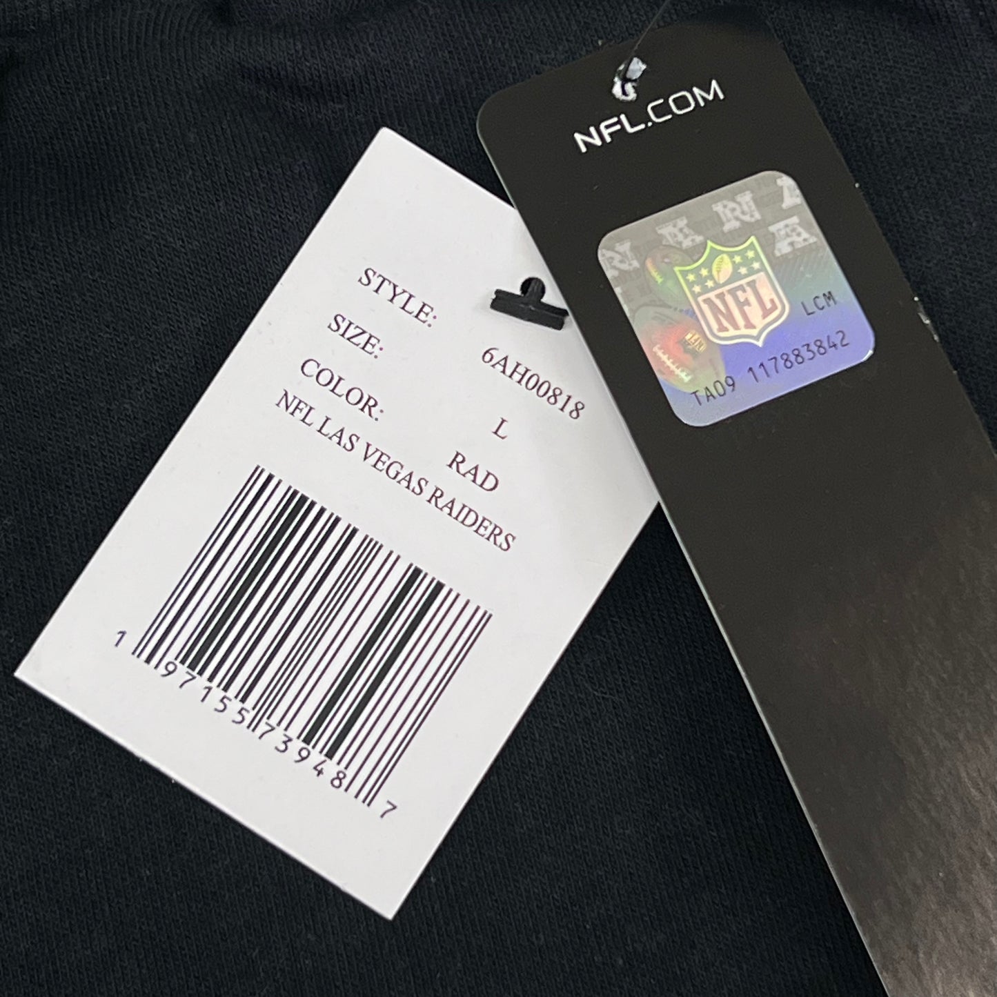 NFL Las Vegas Raiders Jogger G-lll Sports By Carl Banks Pants Men's Sz L Black