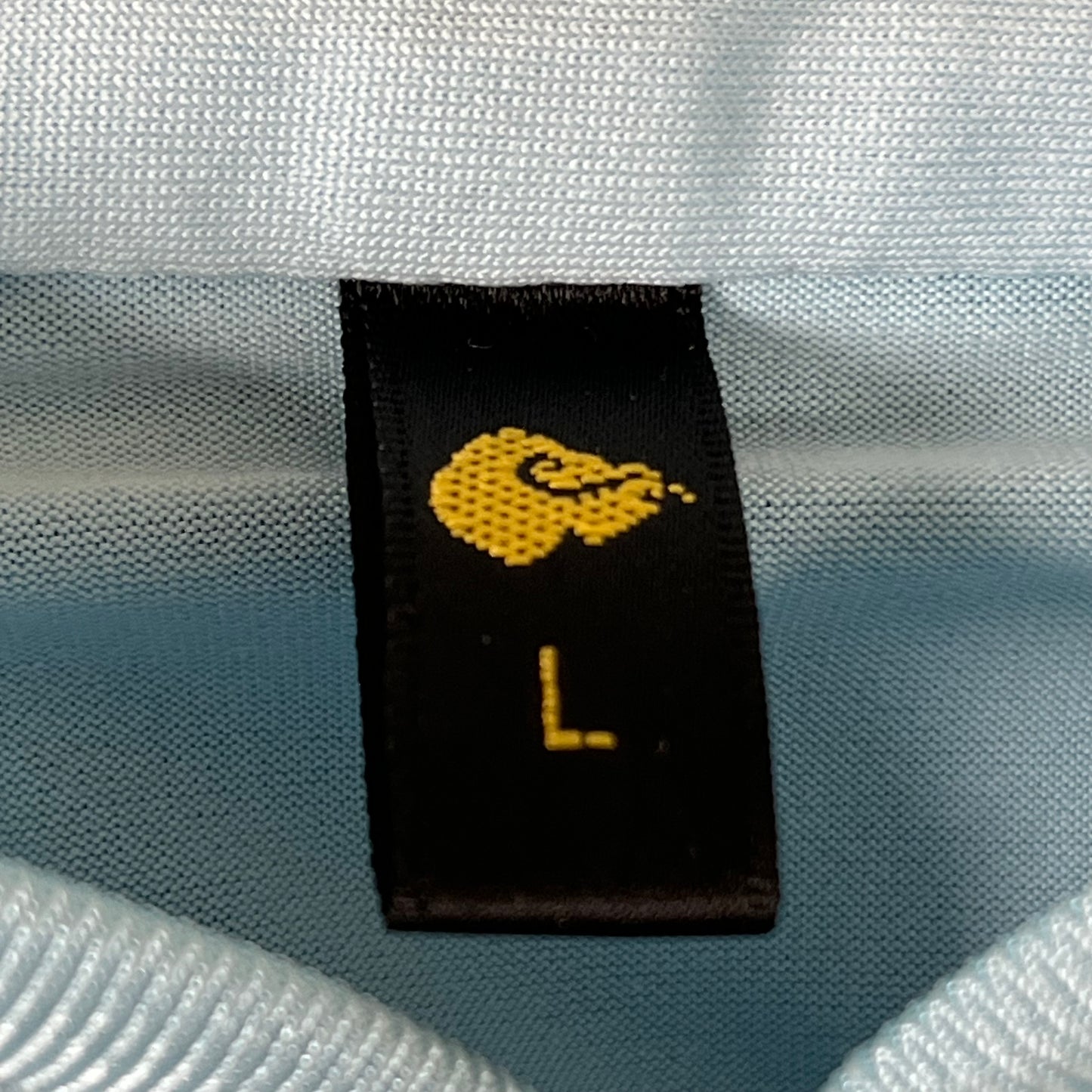 NCCCAF Yang Chengfu Academy of America Blue Uniform Set Unisex L Light Blue