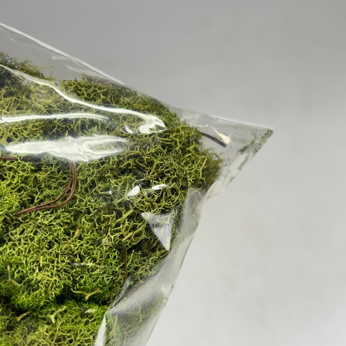 ASHLAND (6 PACK, 108.5 In³ Each) Naturals Reindeer Preserved Moss Green 284153