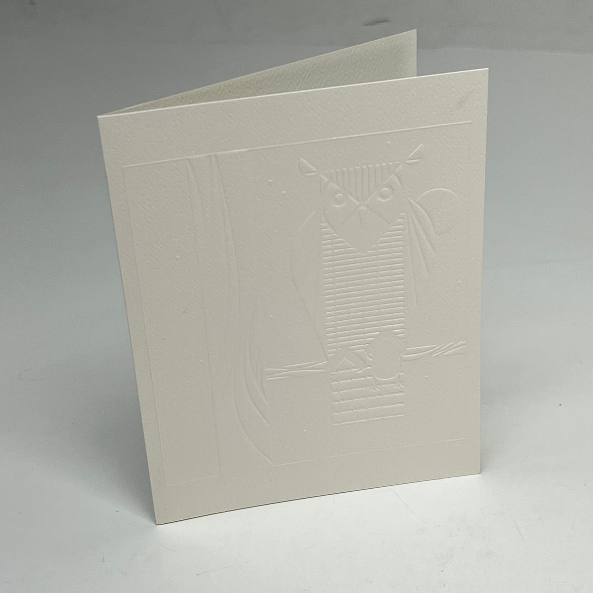 POMEGRANATE (12 PACK) Charley Harper Birds Embossed Boxed Notecard 4x6" White
