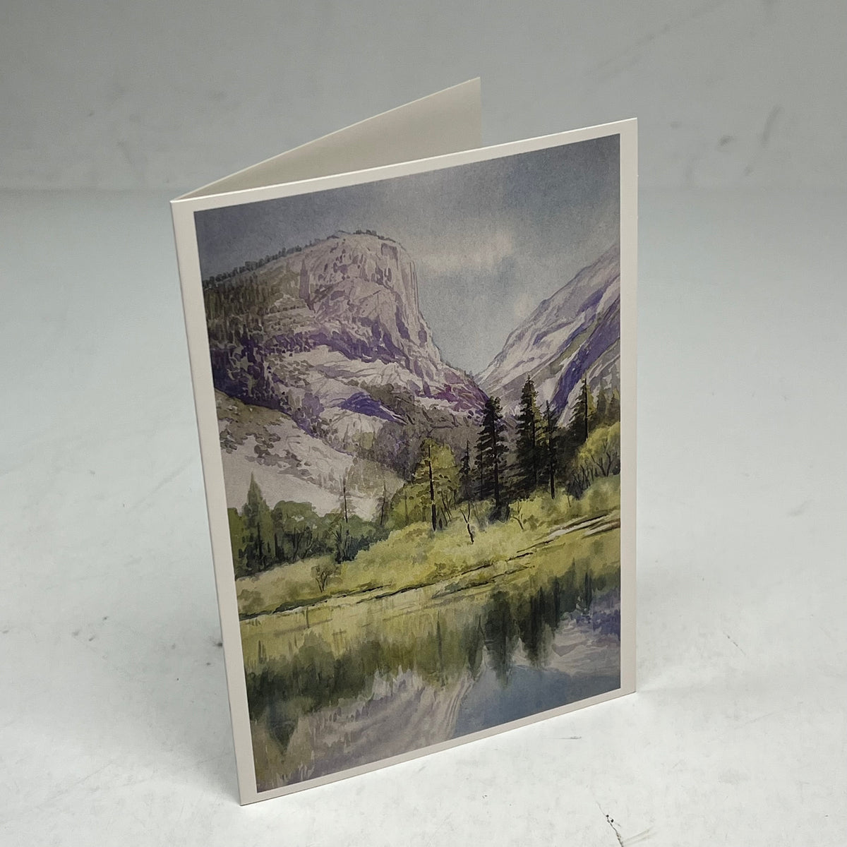 POMEGRANTE (20 PACK) William S Rice Watercolors Notecards W/ Envelopes 4x6"