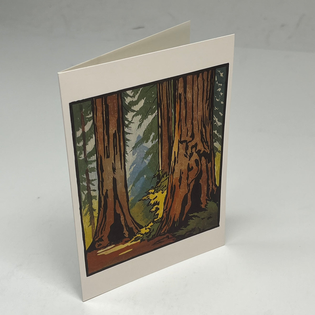 POMEGRANTE (20 PACK) Arts & Crafts William S. Rice Notecards W/ Envelops 4x6"