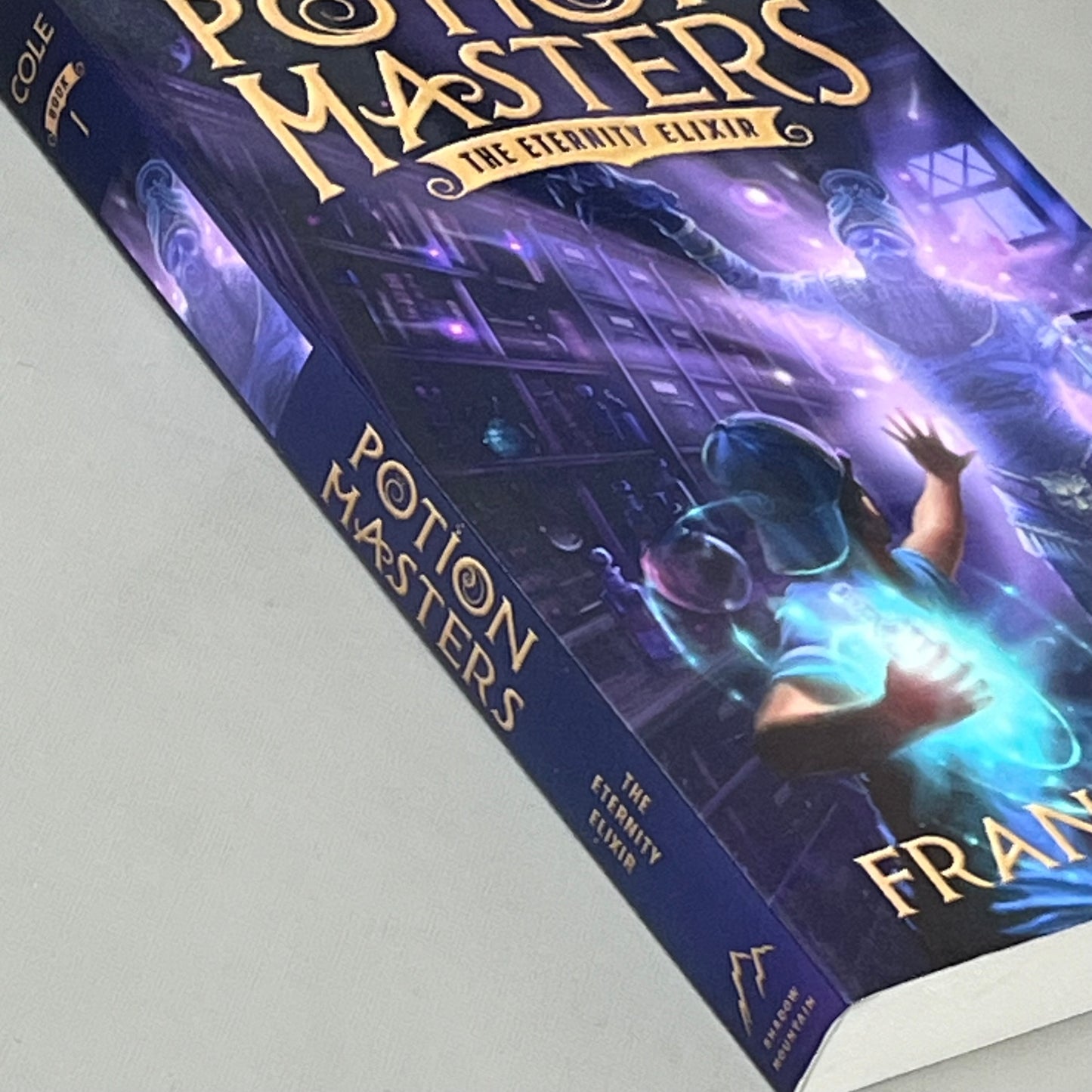 POTION MASTERS The Eternity Elixir by Frank L. Cole 5.5" x 7 3/4" Purple 5206090