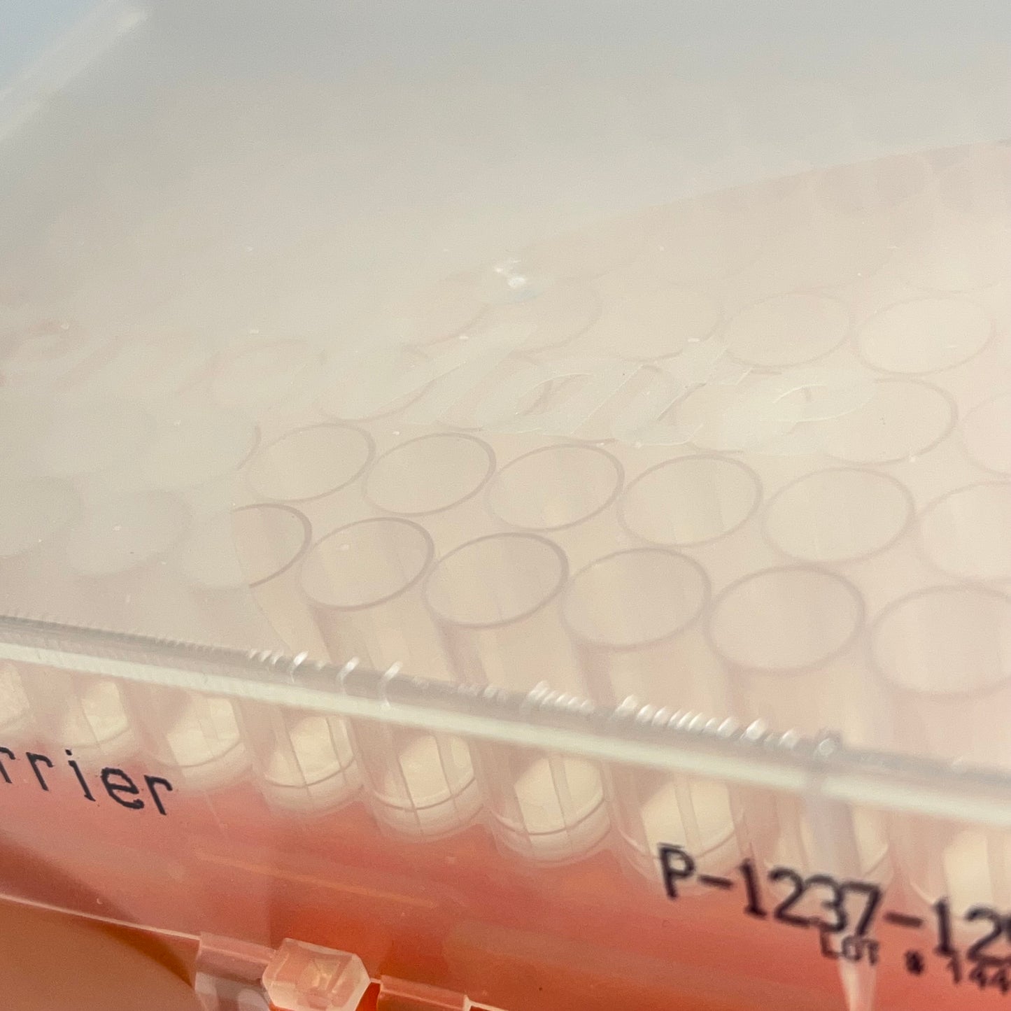 BIO EXPRESS (7 PACK, 96 EACH) Gene Pipet Tips 1250µL P-1237-1250 01440-001-00