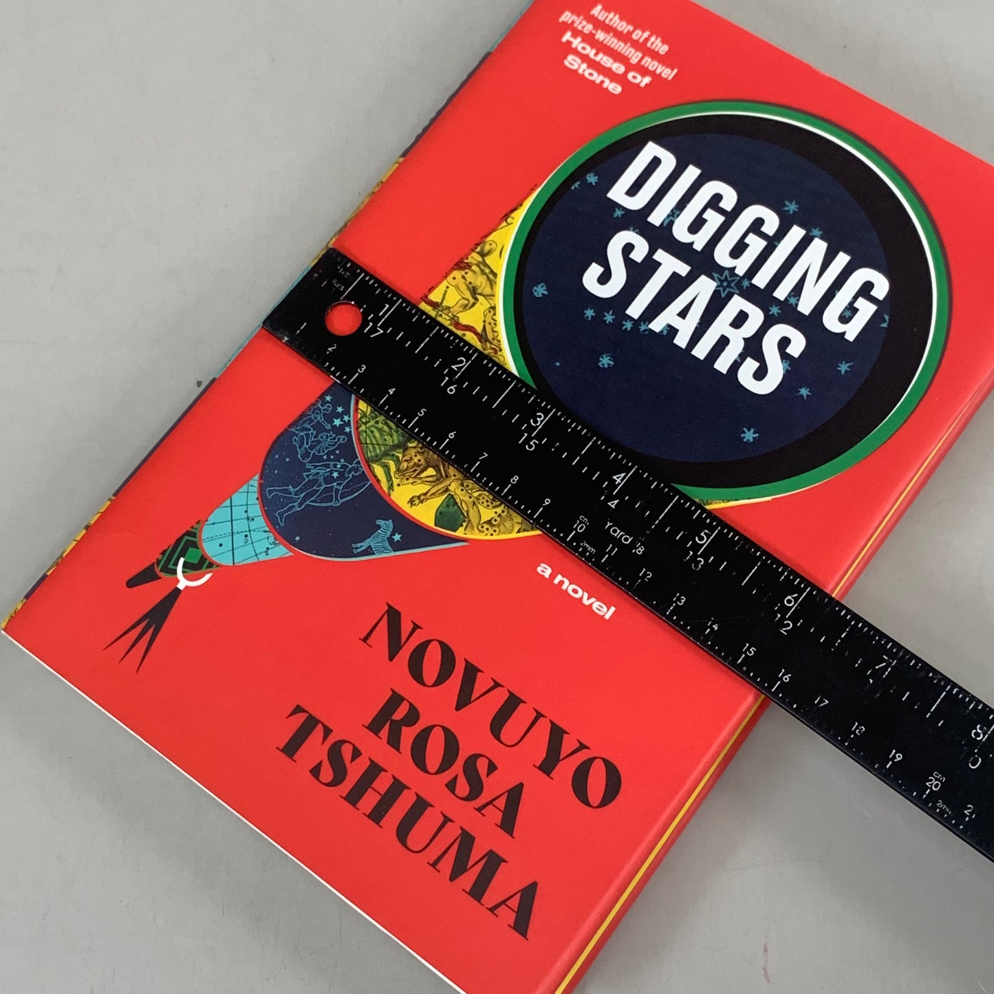 NORTON Novuyo Rosa Tshuma Digging Starts 288 Pages