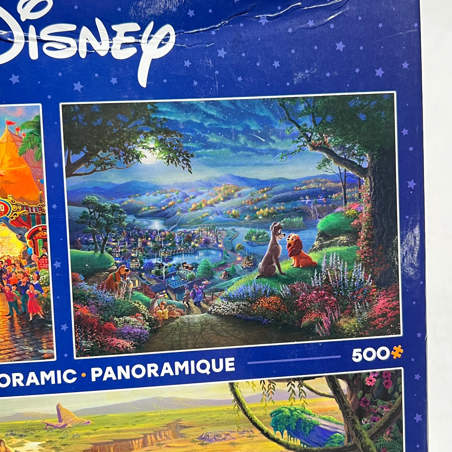 DISNEY Multiple Panoramic Jigsaw Puzzle Of Disney Scenes 300, 500 & 700 Piece 1124-3
