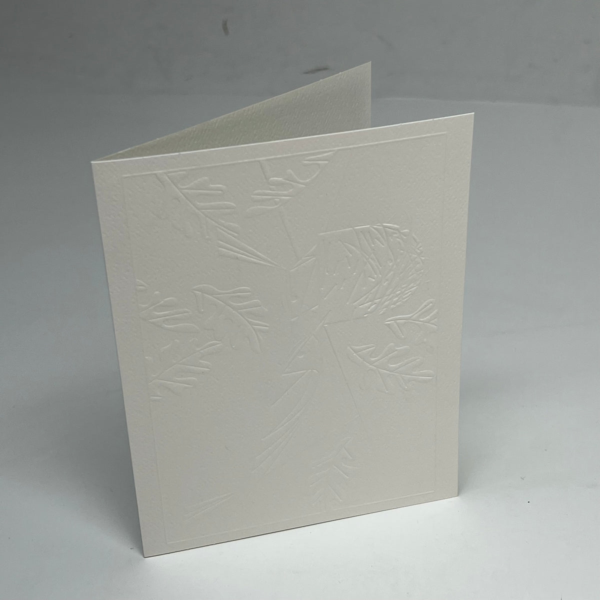 POMEGRANATE (12 PACK) Charley Harper Birds Embossed Boxed Notecard 4x6" White