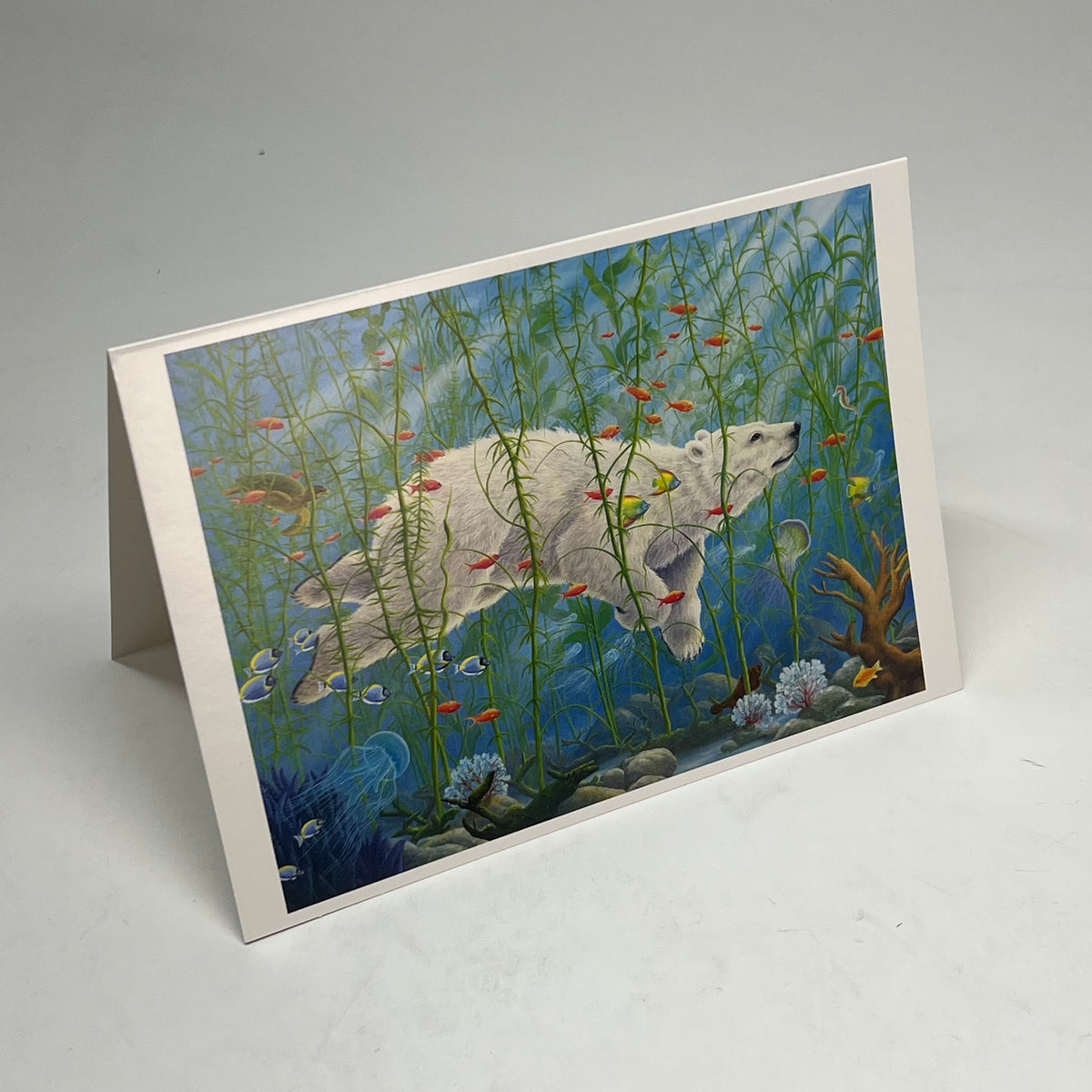 POMEGRANATE (20 PACK) Robert Bissel Spirit Notecards W/ Envelopes 4X6" BX009