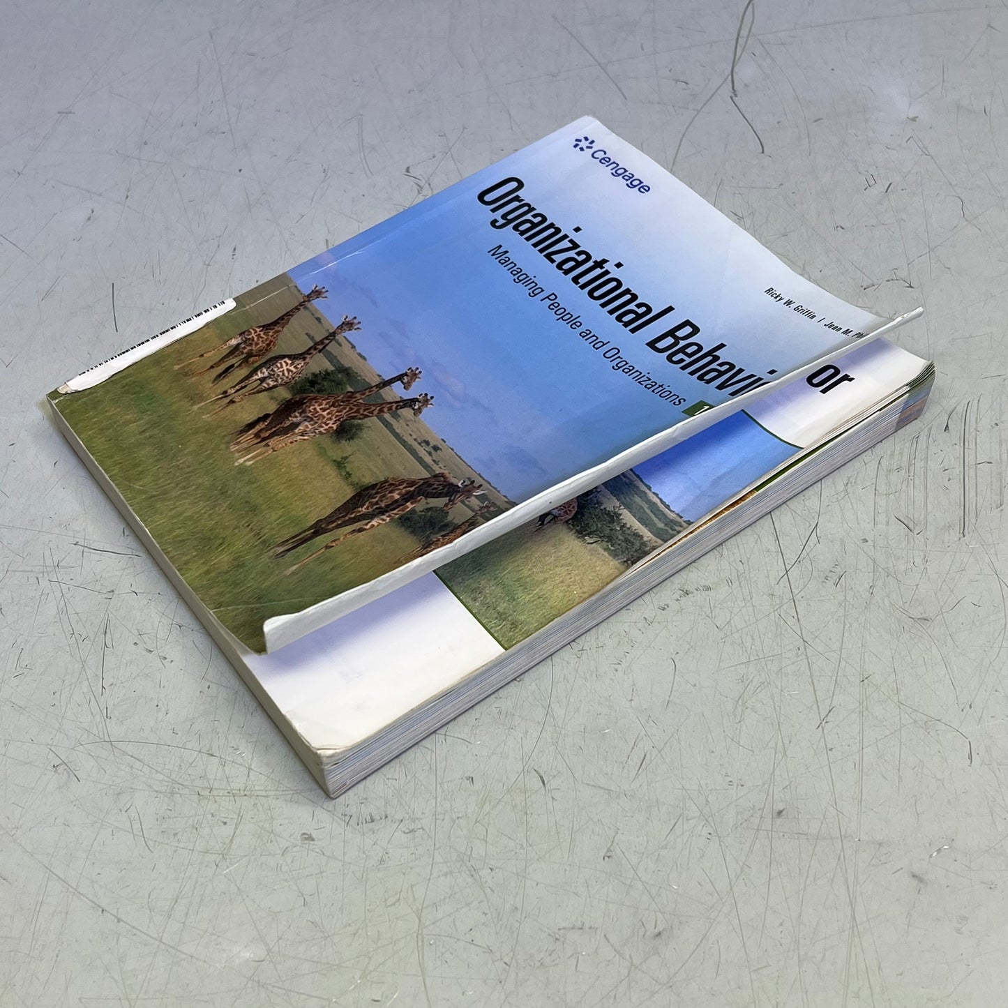 ORGANIZATIONAL BEHAVIOR Managing People & Organizations Paperback Book (As-is)