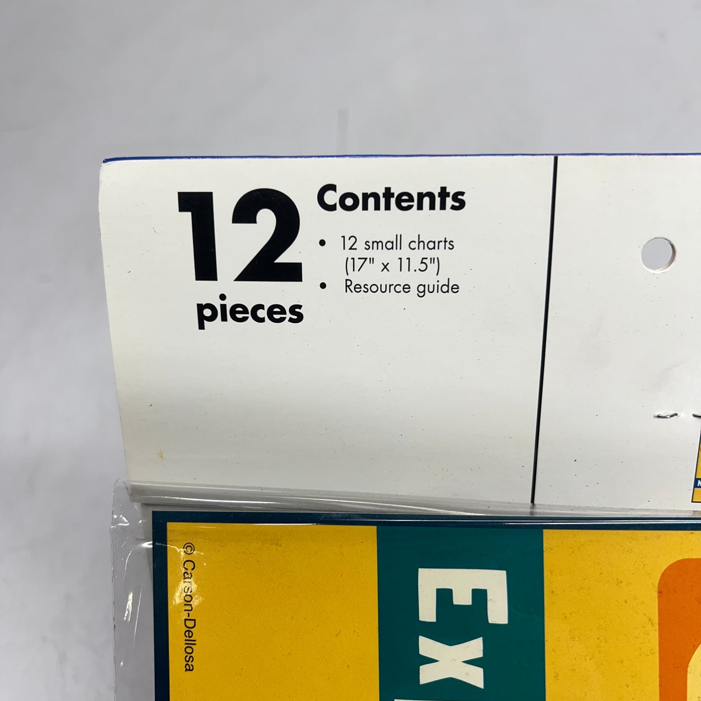 CARSON DELLOSA Education Steam Careers Bulletin Board Set 12 Pieces  CD-110383