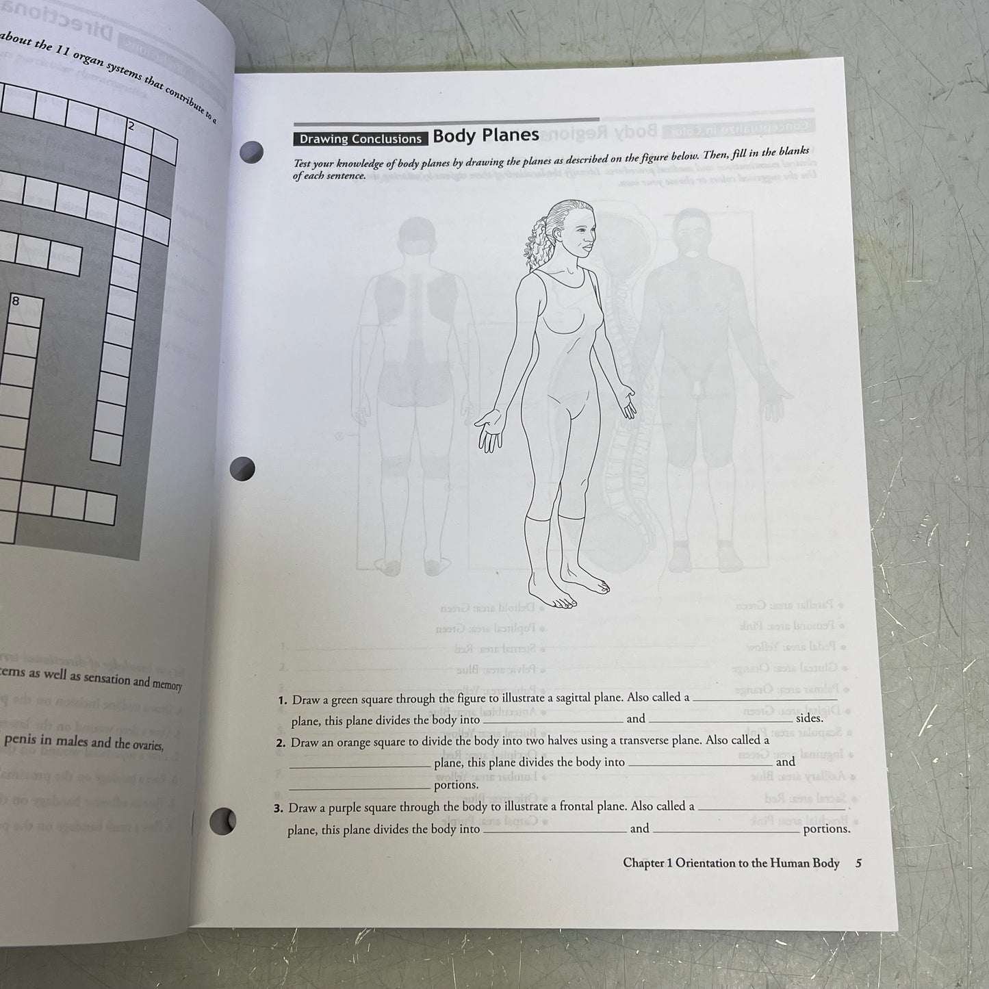 STUDY GUIDE FOR UNDERSTANDING ANATOMY & PHYSIUOLOGY 4TH ED Paperback Book