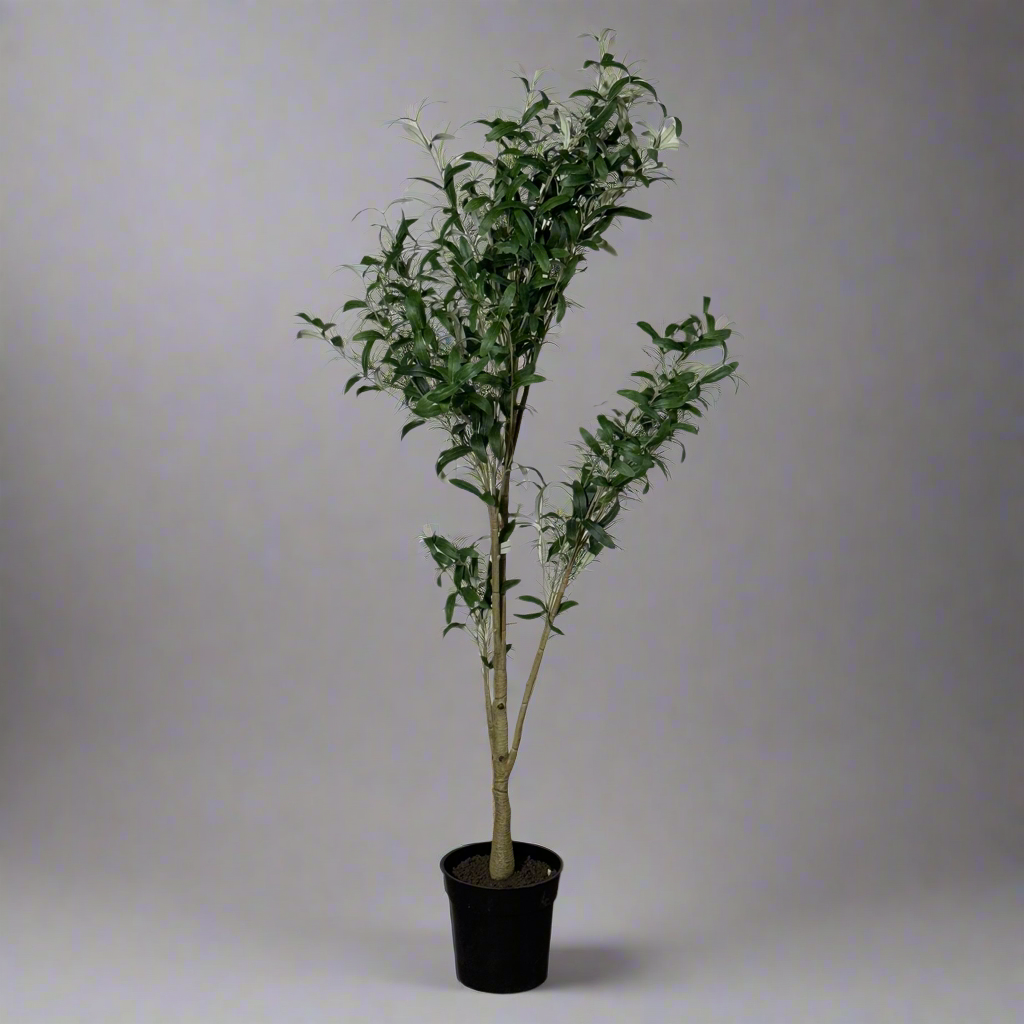 ZA@ NEARLY NATURAL 55” Tall Artificial Minimalist Ekianthus Tree T4660 (AS-IS, New Other)