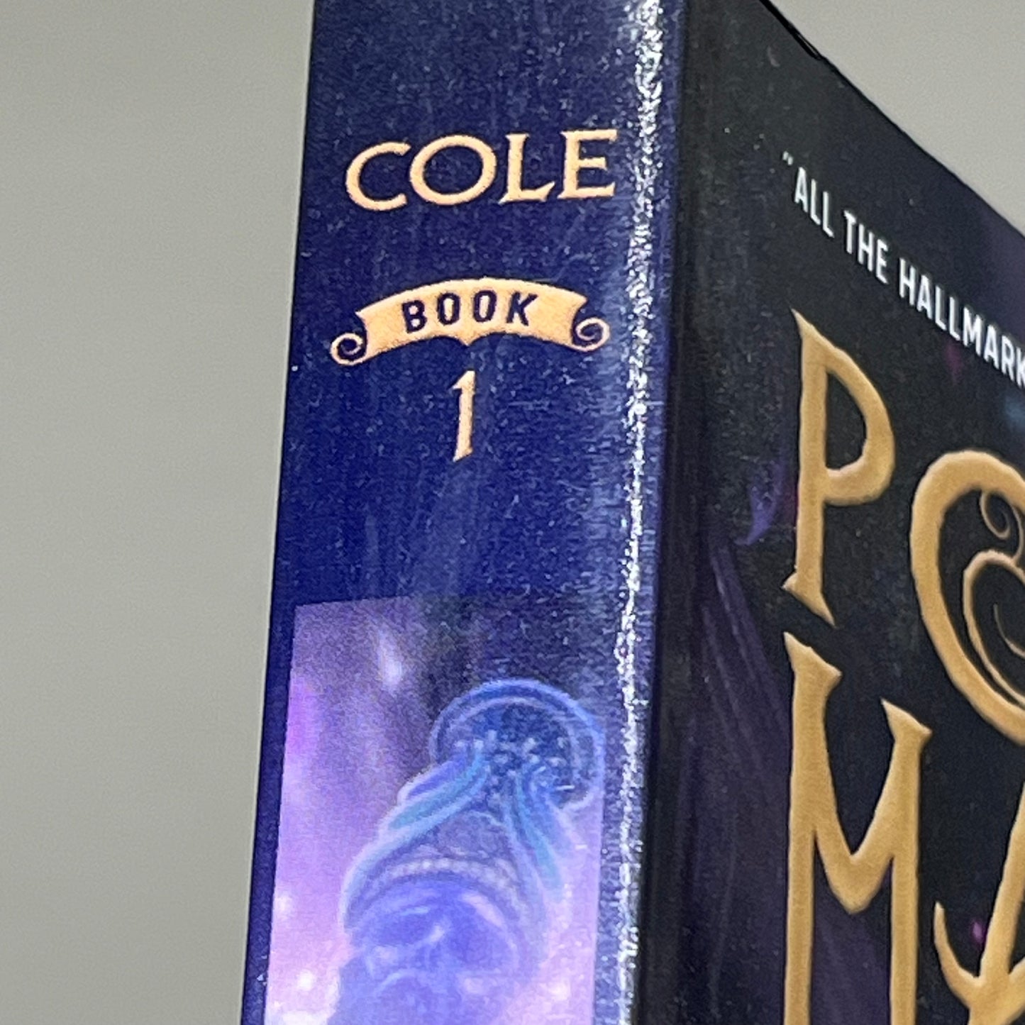 POTION MASTERS The Eternity Elixir by Frank L. Cole 5.5" x 7 3/4" Purple 5206090