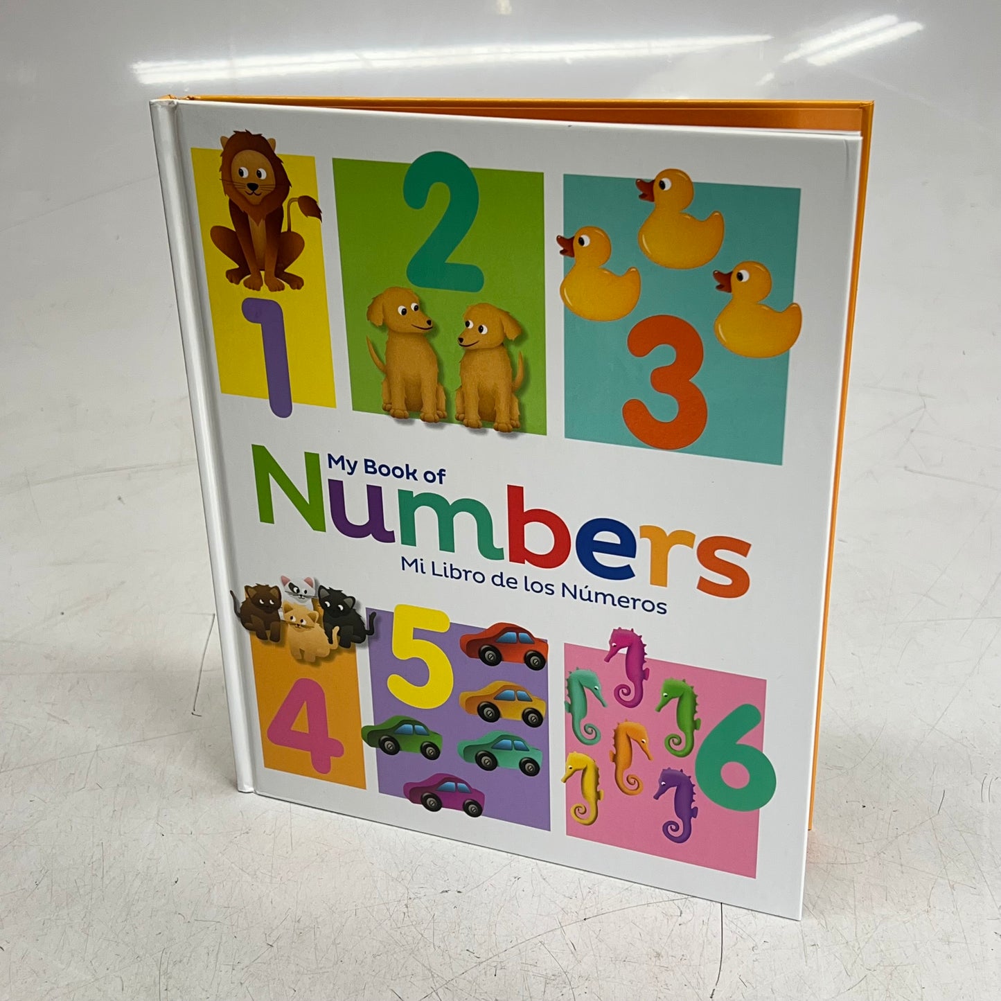 MY BOOKS OF COLORS, NUMBERS, SHAPES & WORDS Children's Hardback Bilingual Set