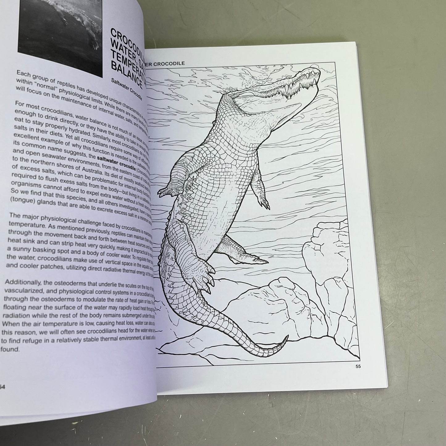 THE RETILES COLORING BOOK Science & Anatomy Paperback Coloring Activity Book