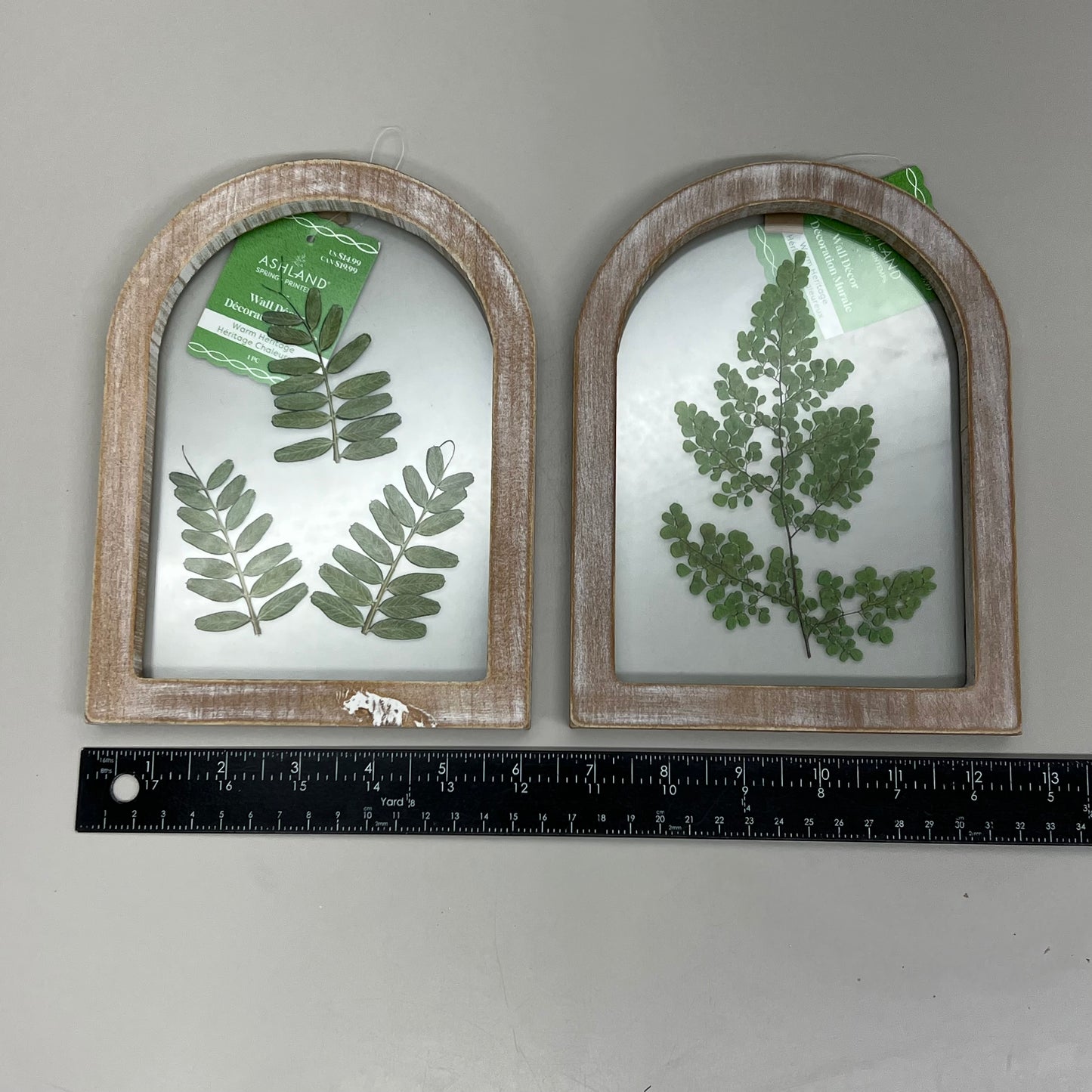 ASHLAND 2 Piece Set of 8in X 6in Wood Framed Hangable Glass Wall Art Plants 73476