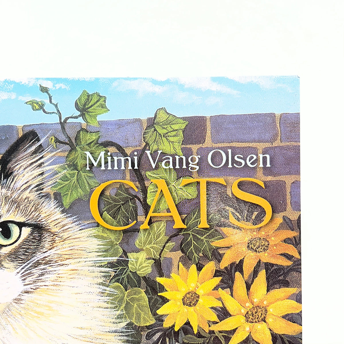 ZA@ POMEGRANATE Mimi Vang Olsen Cats Coloring Book Soft Cover