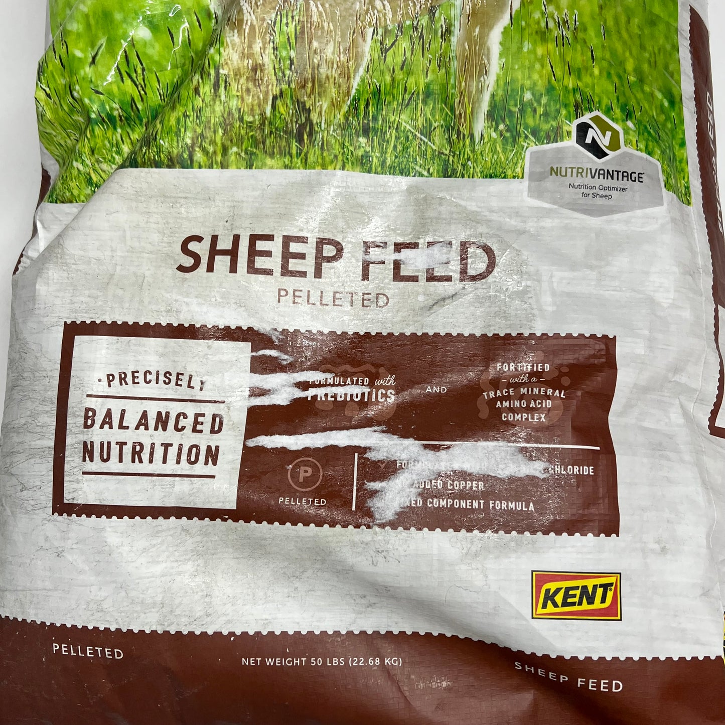ZA@ KENTS Home Fresh Shepard 16 Sheep Feed Pelleted W/ Probiotics 50 Lb Bag