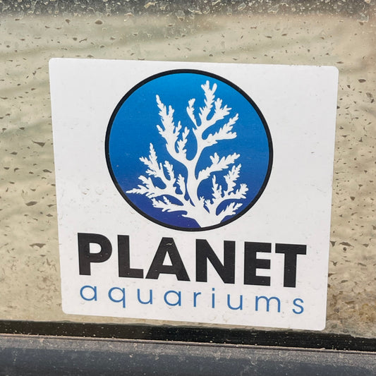 Z@ PLANET AQUARIUMS Water Tank 84"x25"x24" (AS-IS)